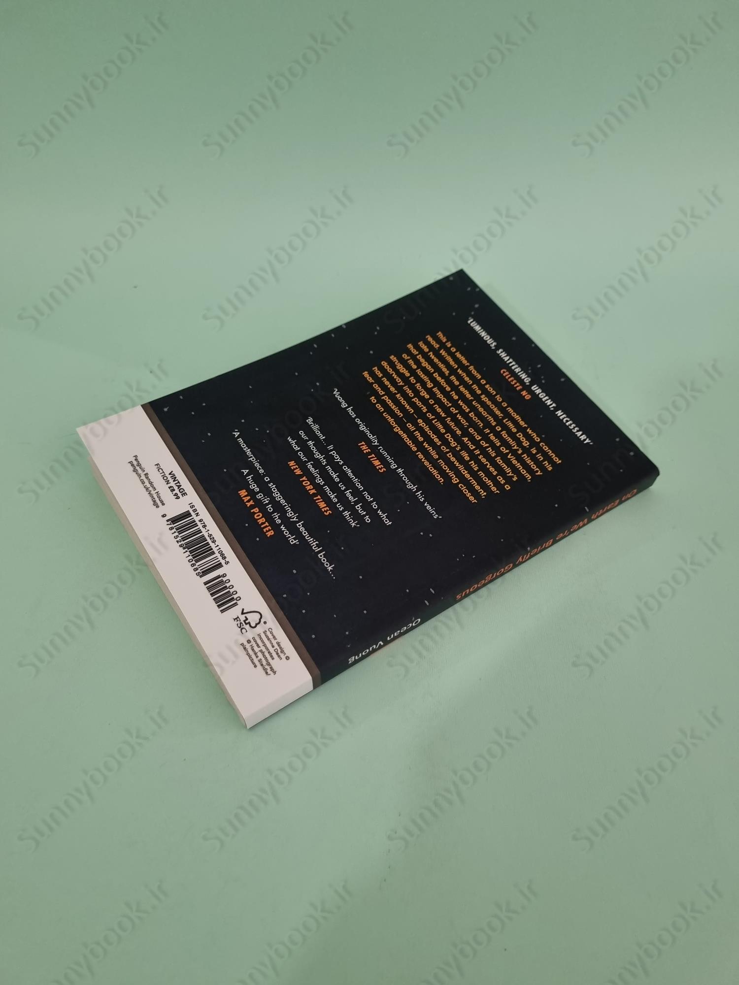 On Earth We're Briefly Gorgeous main 1 5