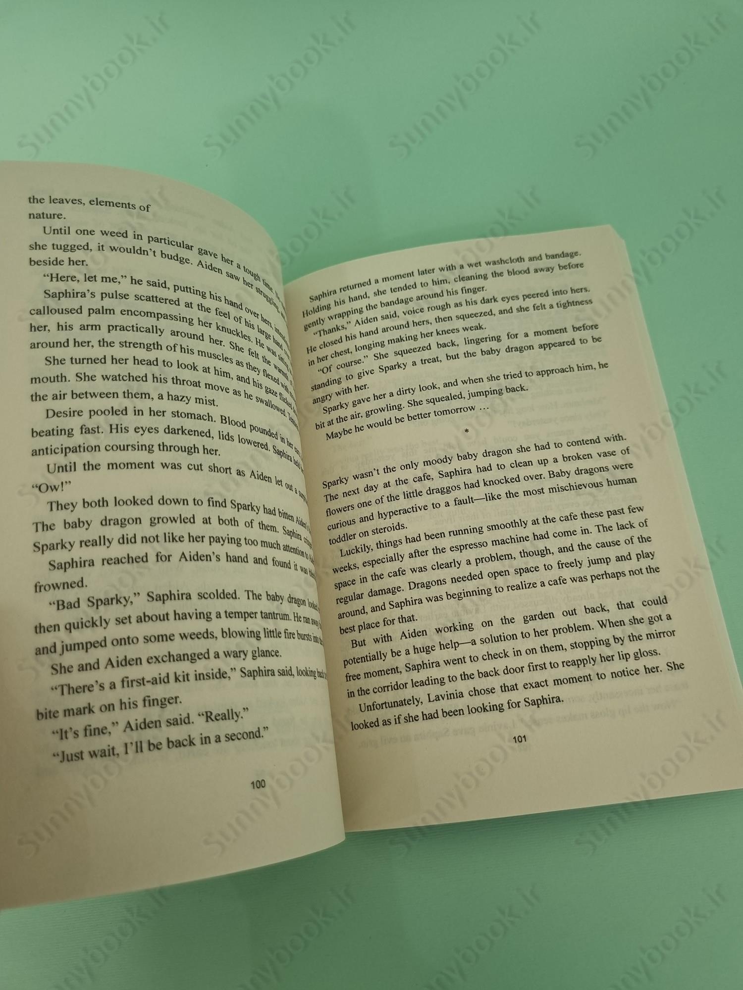 The Baby Dragon Cafe main 1 5