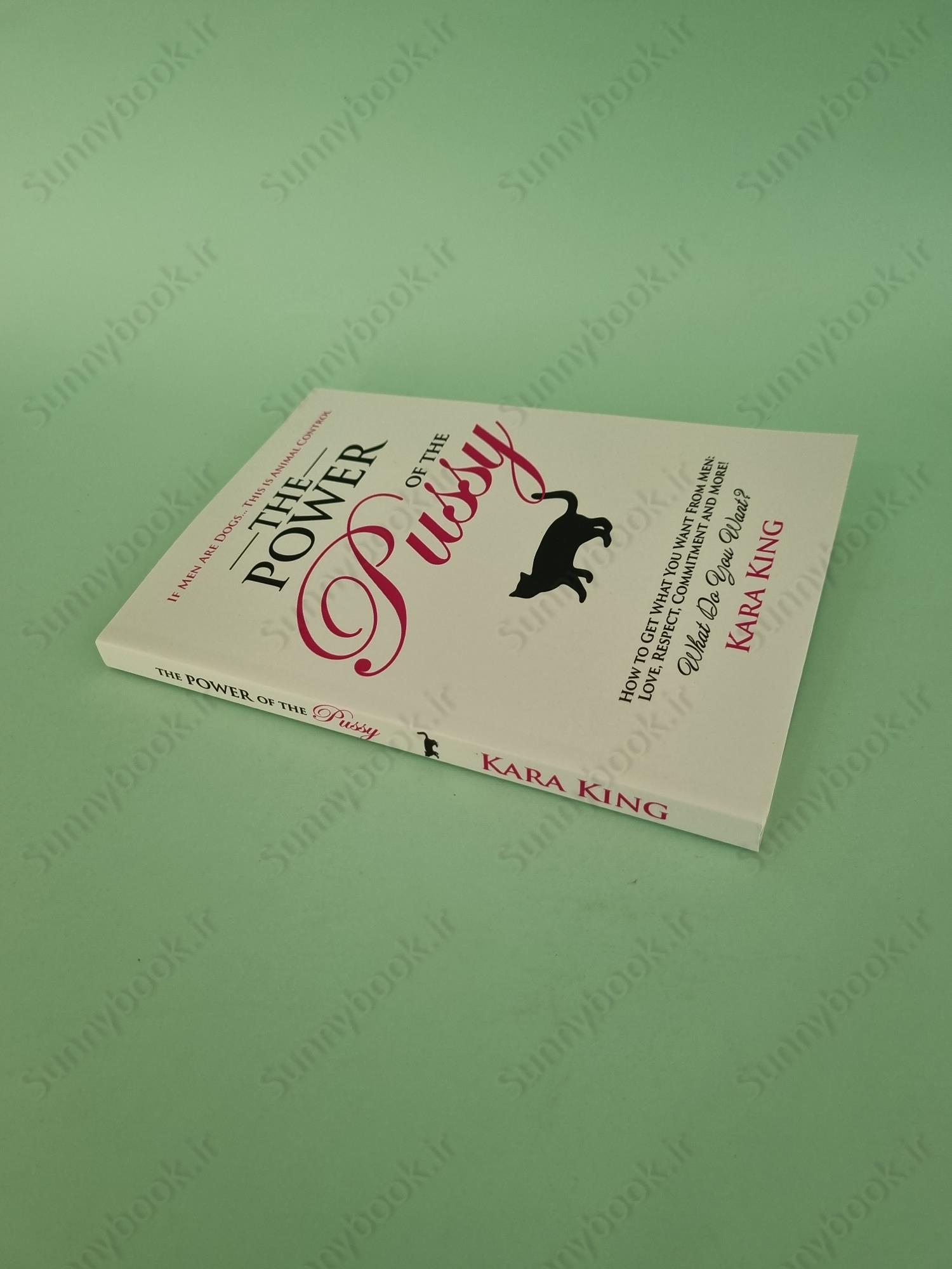 The Power of the Pussy main 1 3