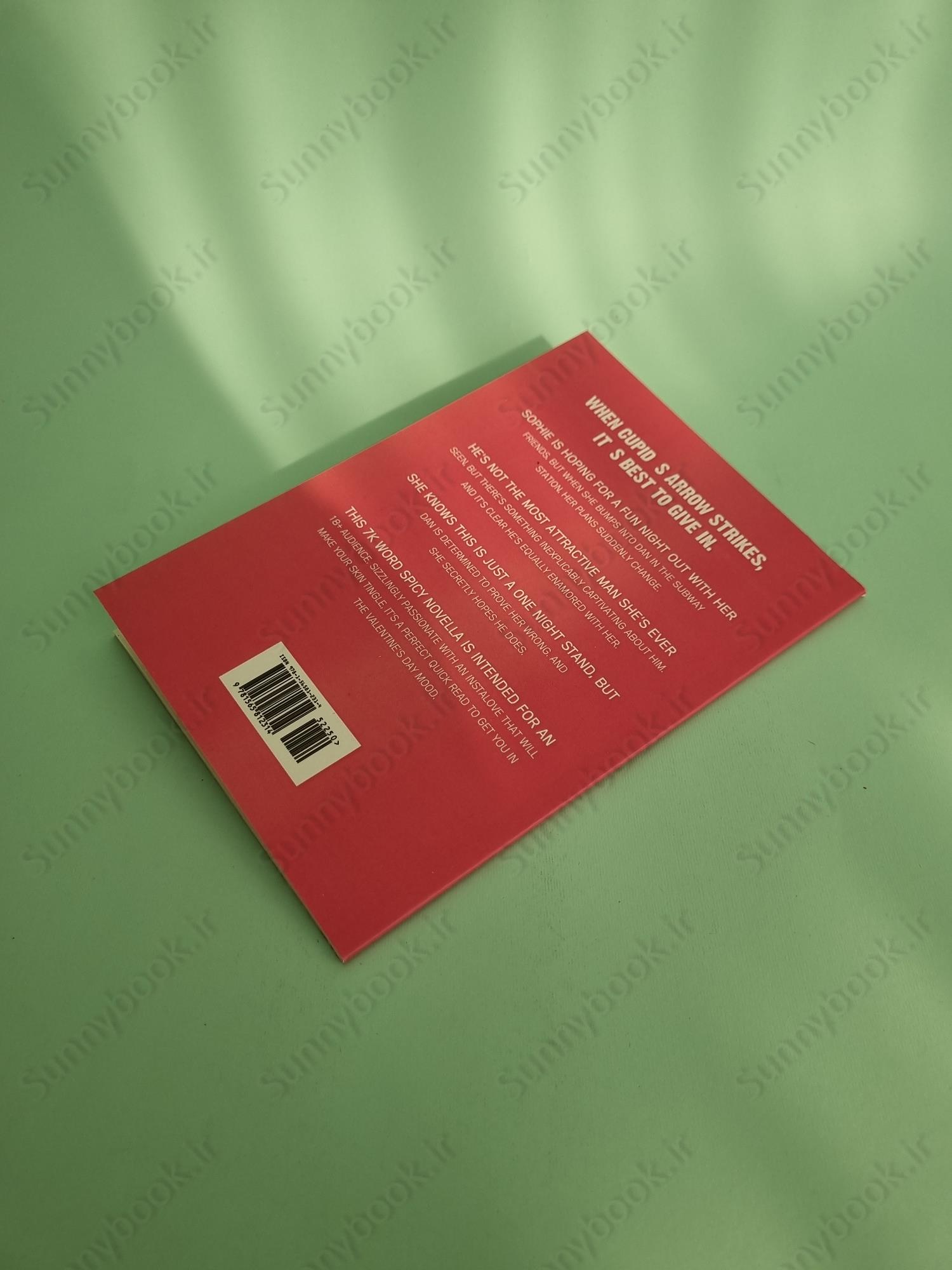 One Night on Valentine's Day main 1 5