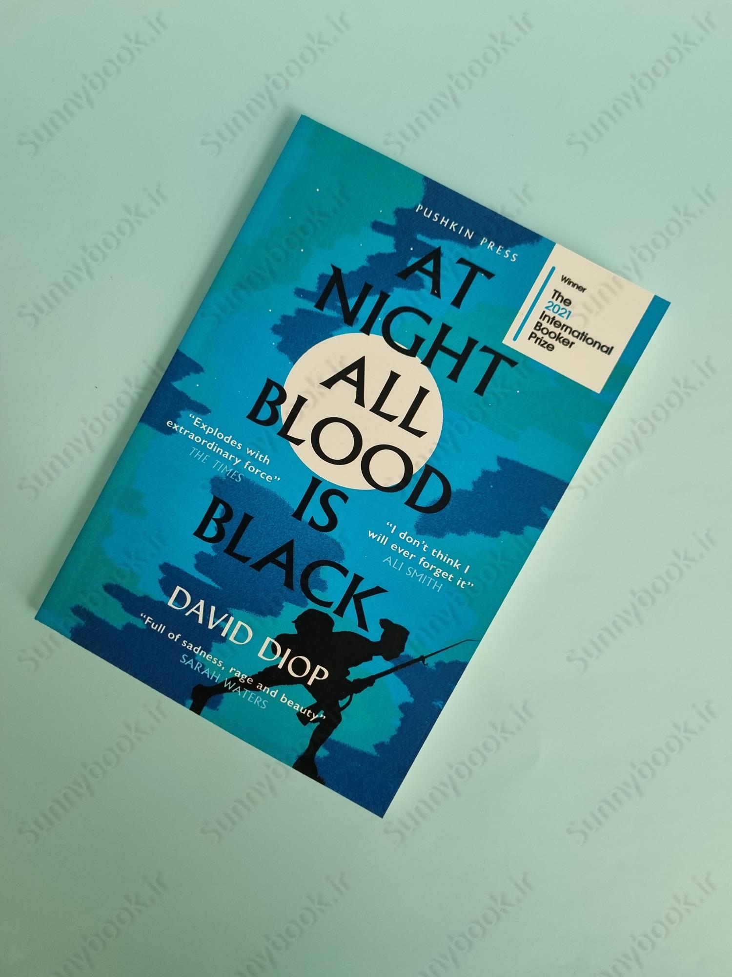 At Night All Blood is Black main 1 2