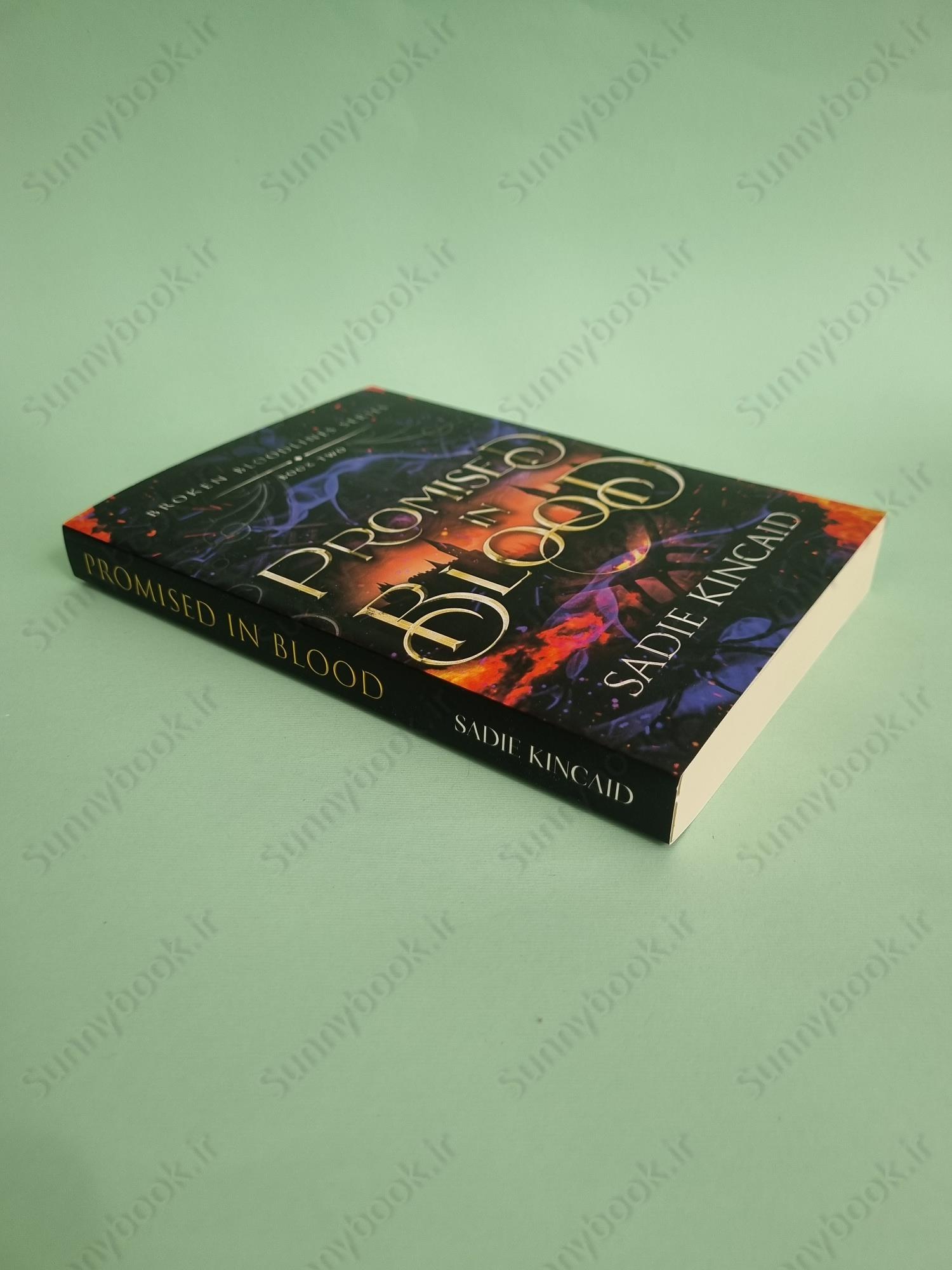 Promised in Blood (Broken Bloodlines Book 2) main 1 3