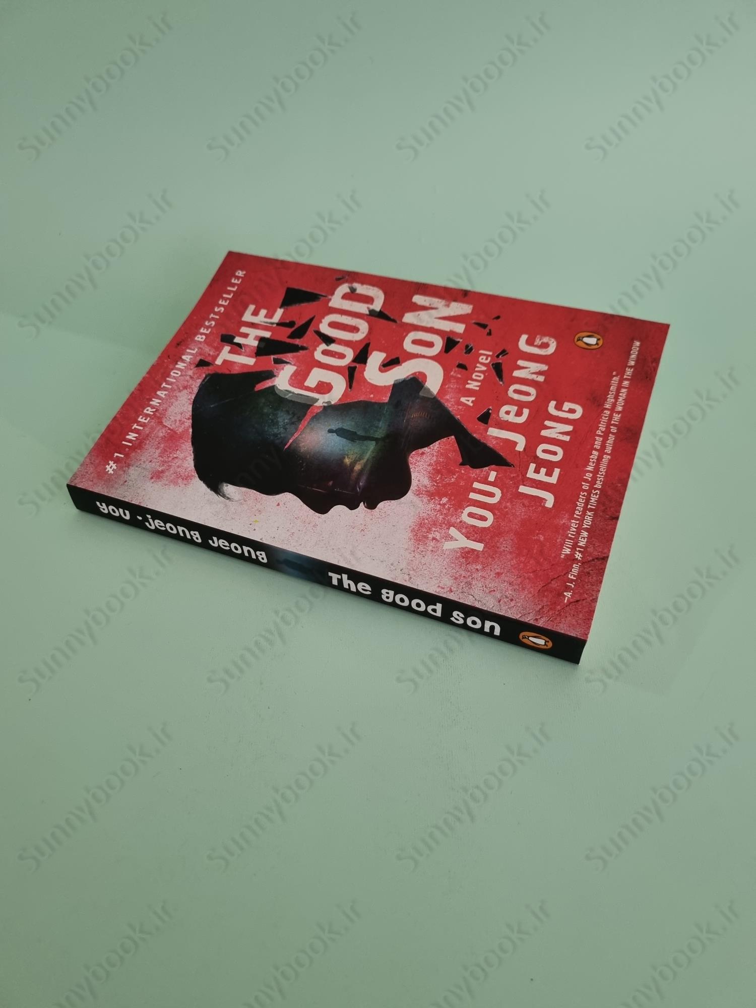 The Good Son main 1 3