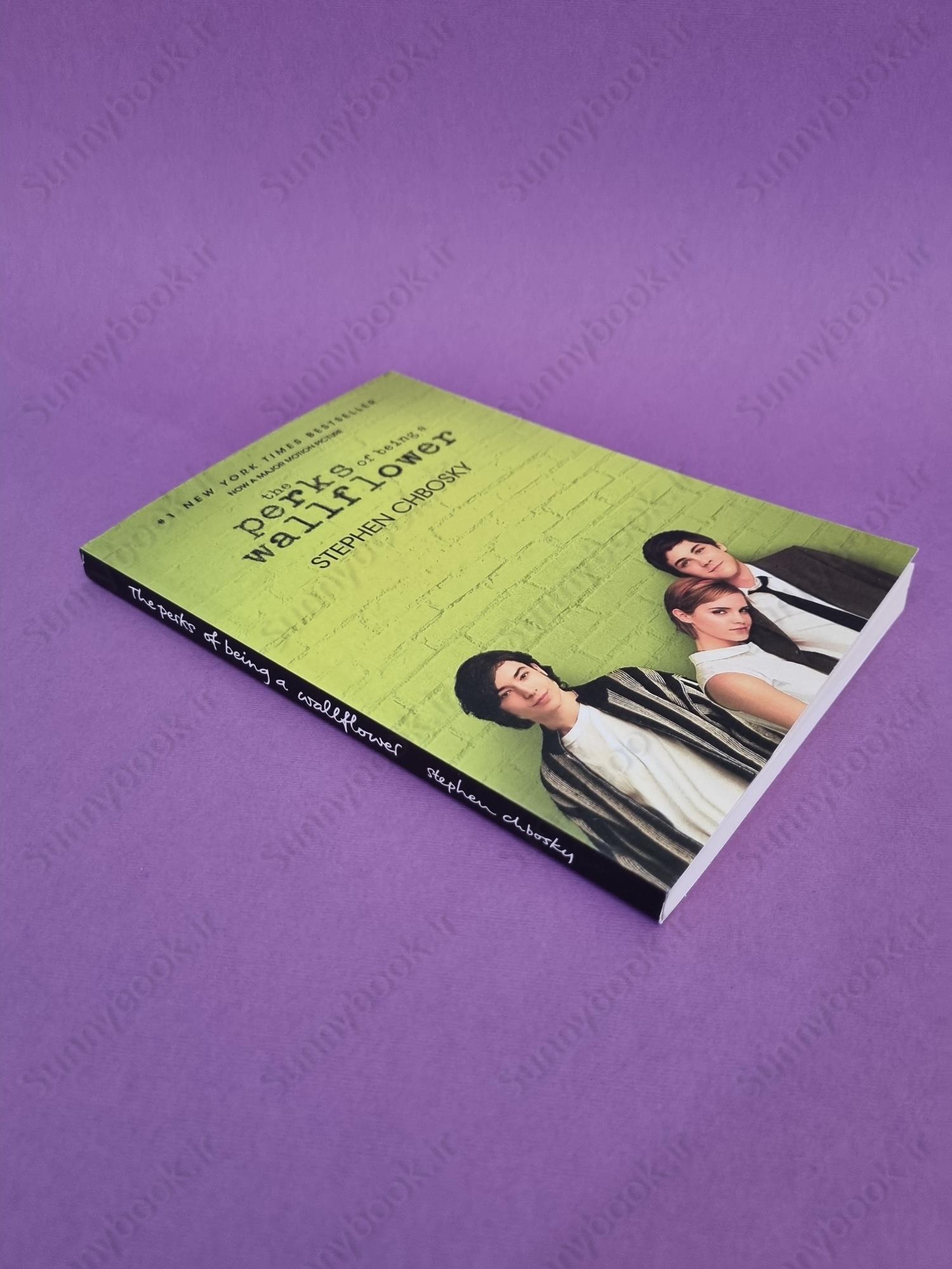 The Perks of Being a Wallflower main 1 3