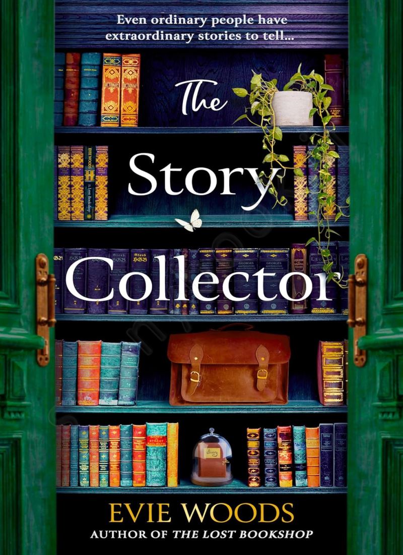The Story Collector main 1 1