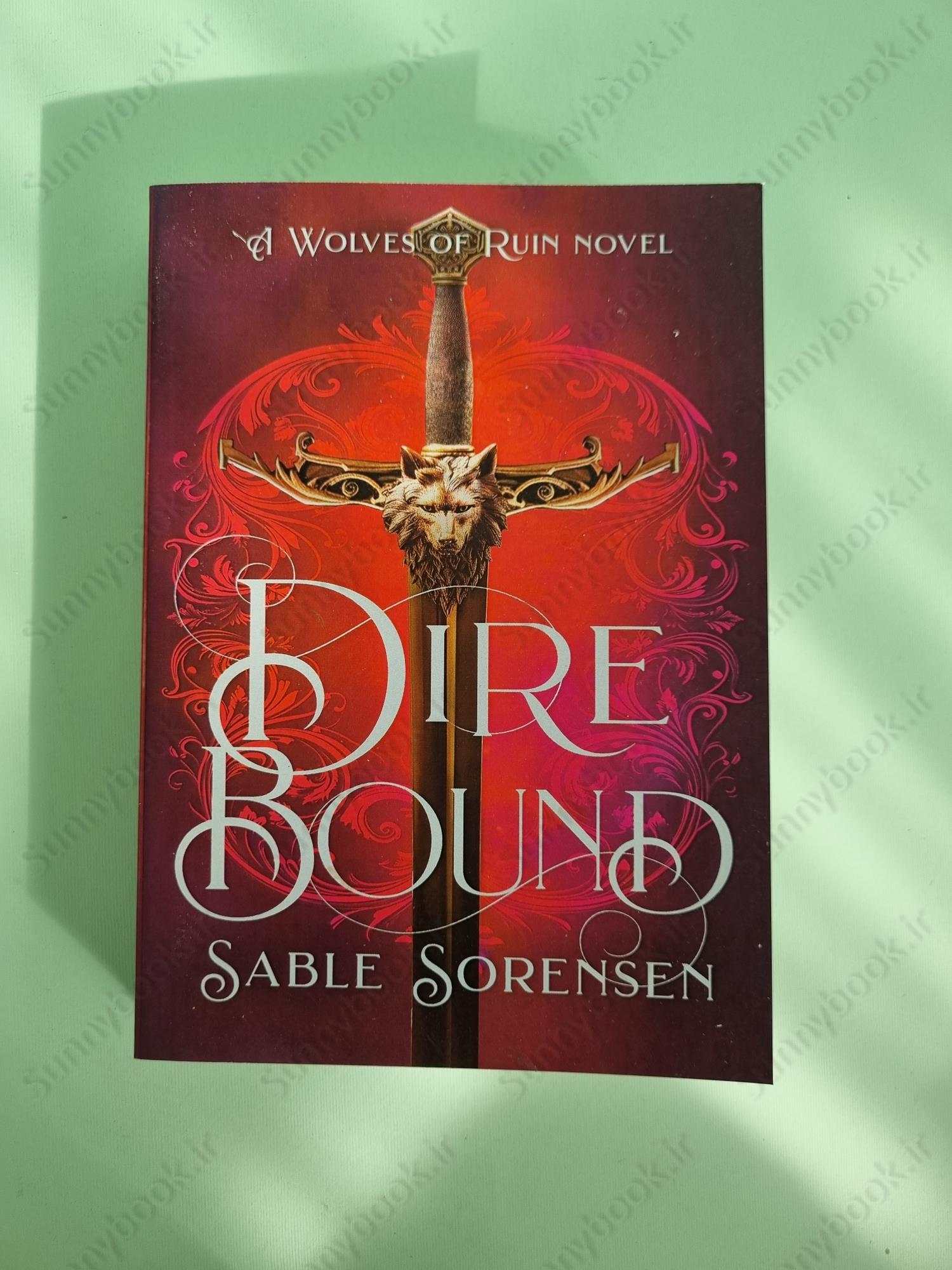 Direbound: A Dark Romantasy (The Wolves of Ruin Book 1) main 1 2