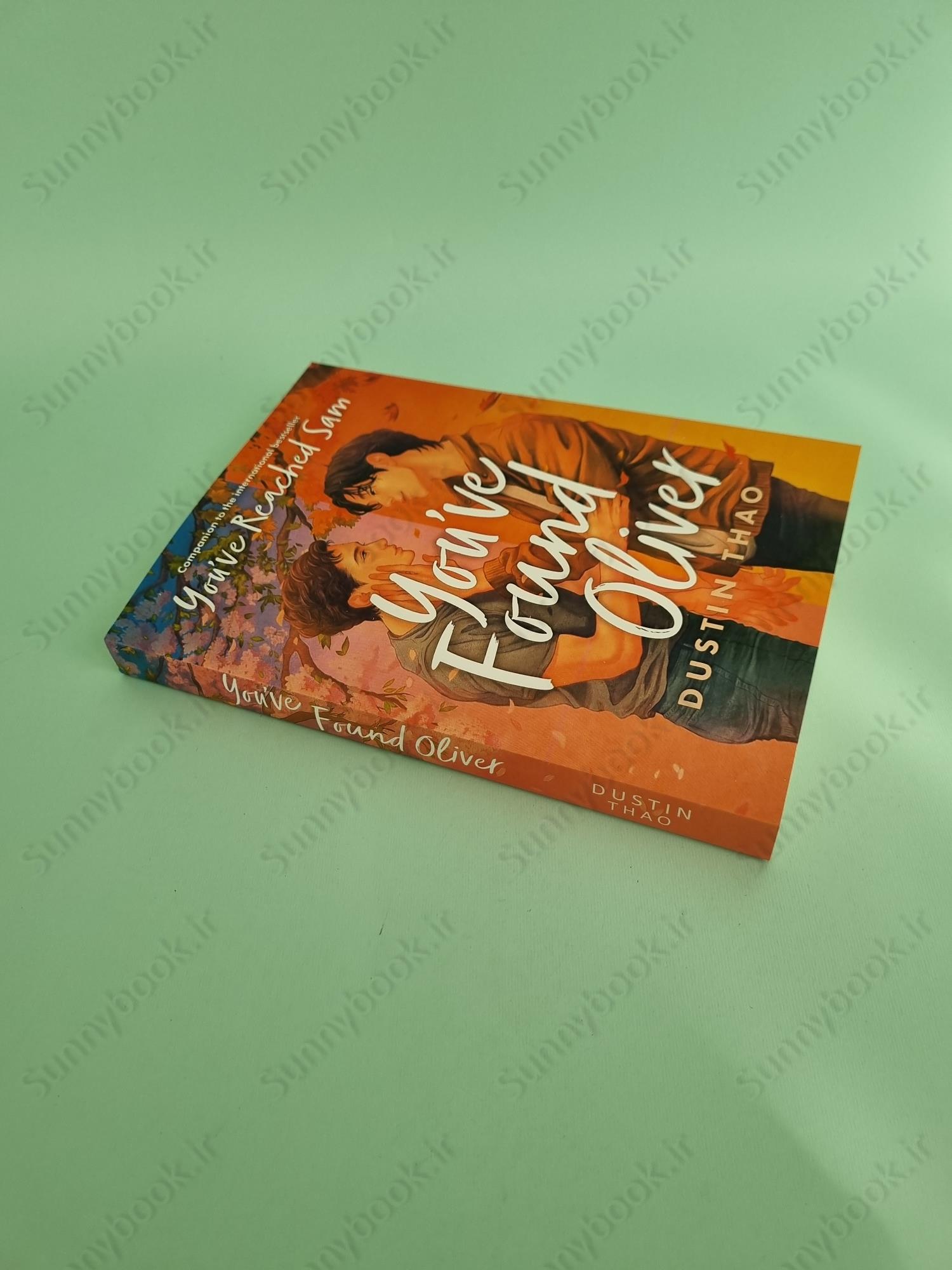 You've Found Oliver (You've Reached Sam 2) main 1 3