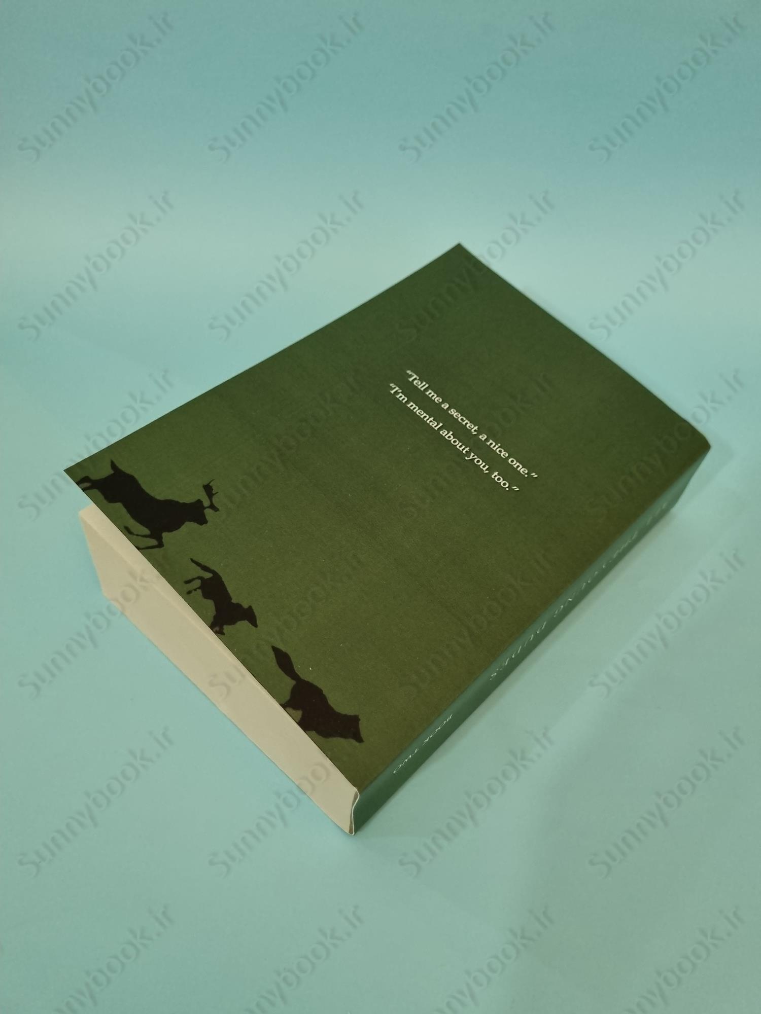 All the Young Dudes - Volume Two: Years 5 - 7 main 1 4