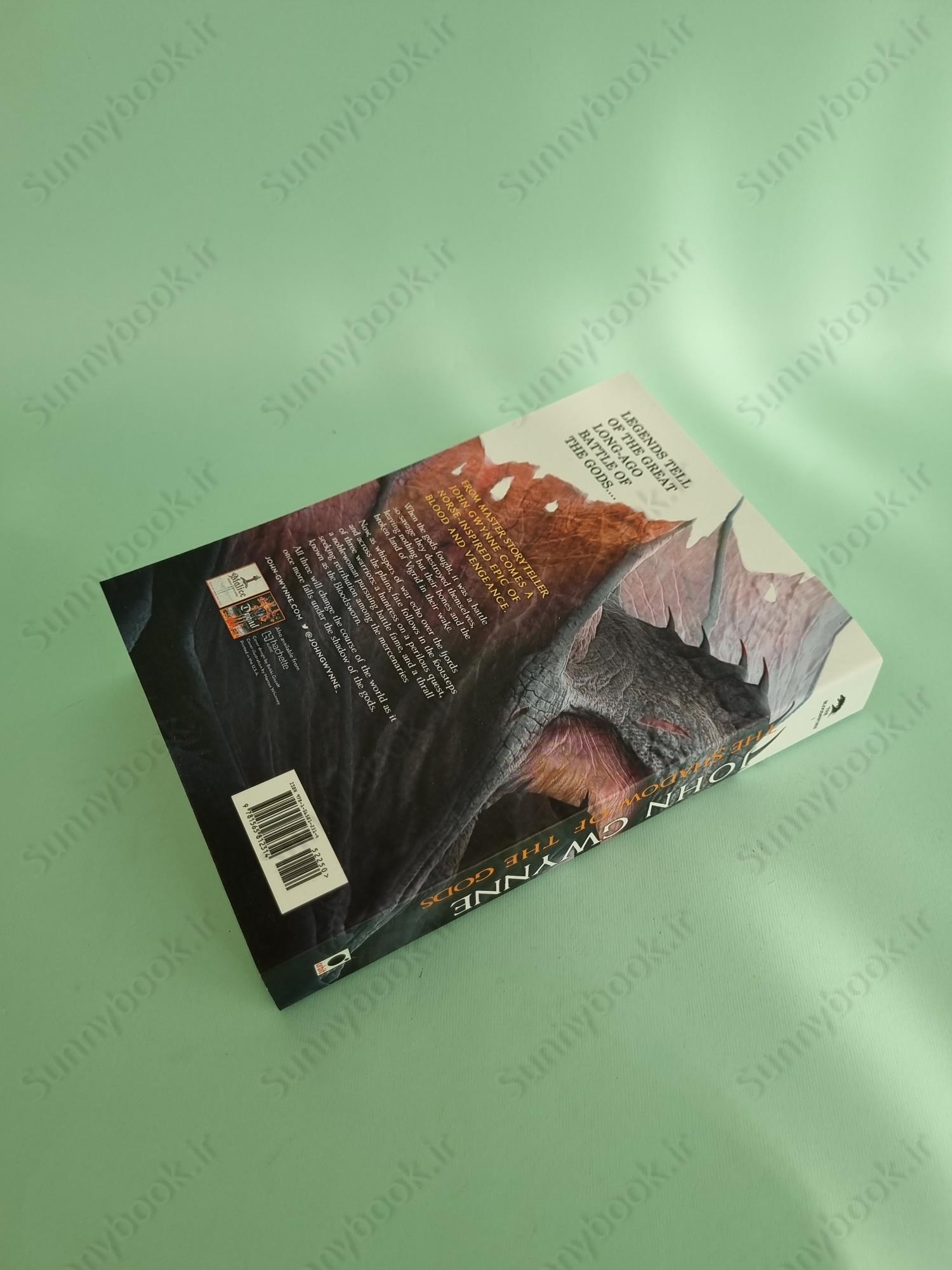 The Shadow of the Gods (Bloodsworn Saga 1) main 1 5