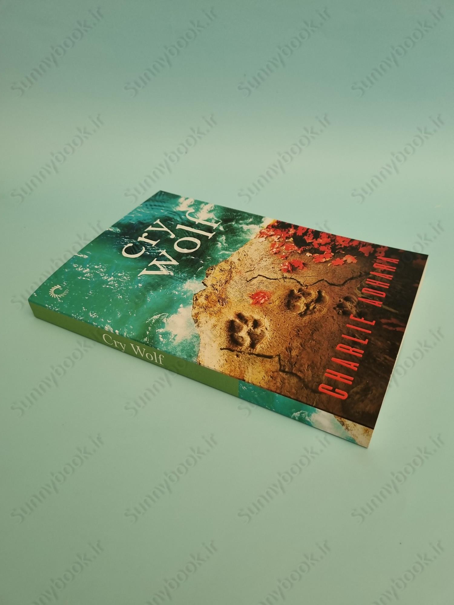 Cry Wolf (Big Bad Wolf 5) main 1 3