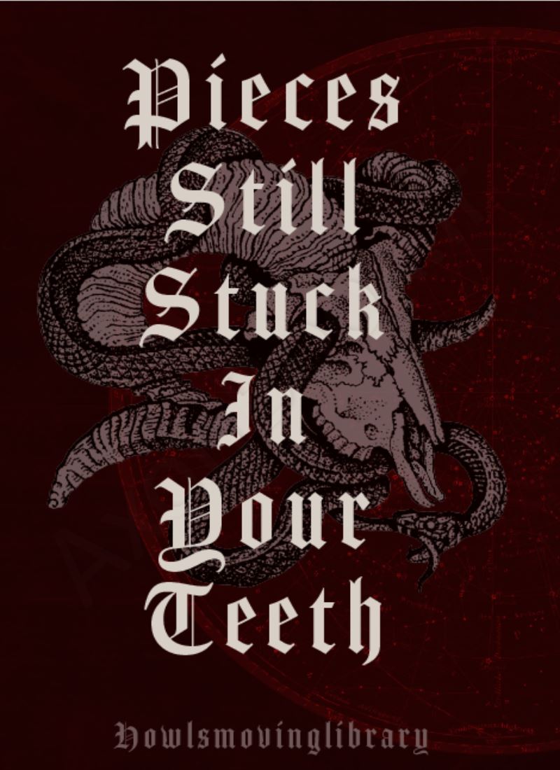 Pieces Still Stuck In Your Teeth main 1 1