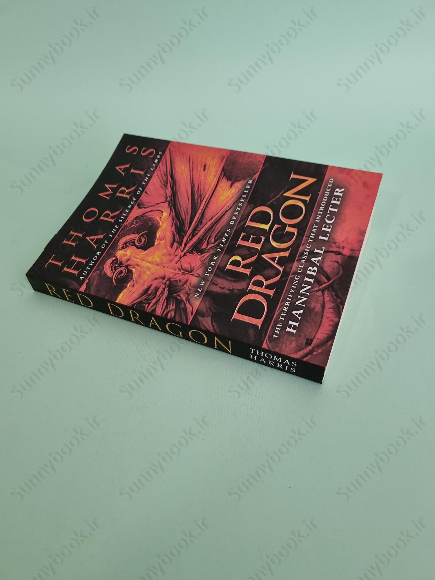 Red Dragon (Hannibal Lecter 1) main 1 3