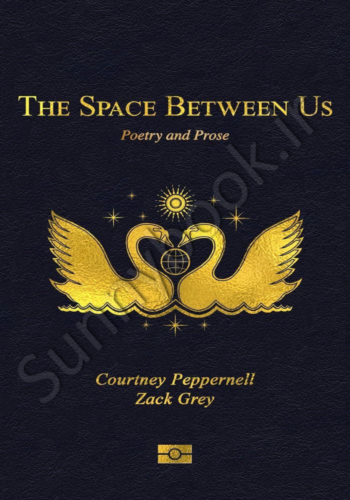 The Space Between Us: Poetry main 1 1