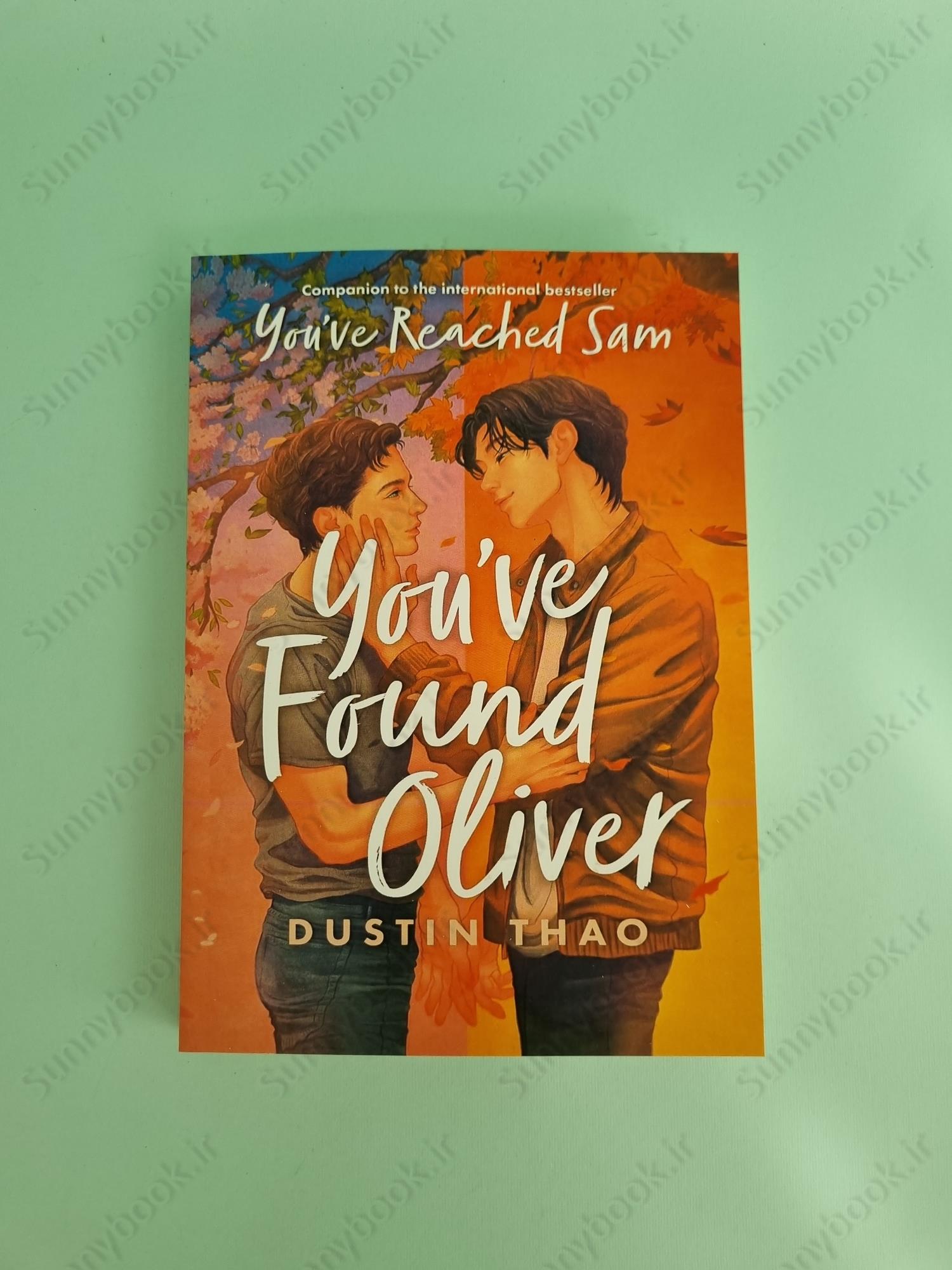 You've Found Oliver (You've Reached Sam 2) main 1 2