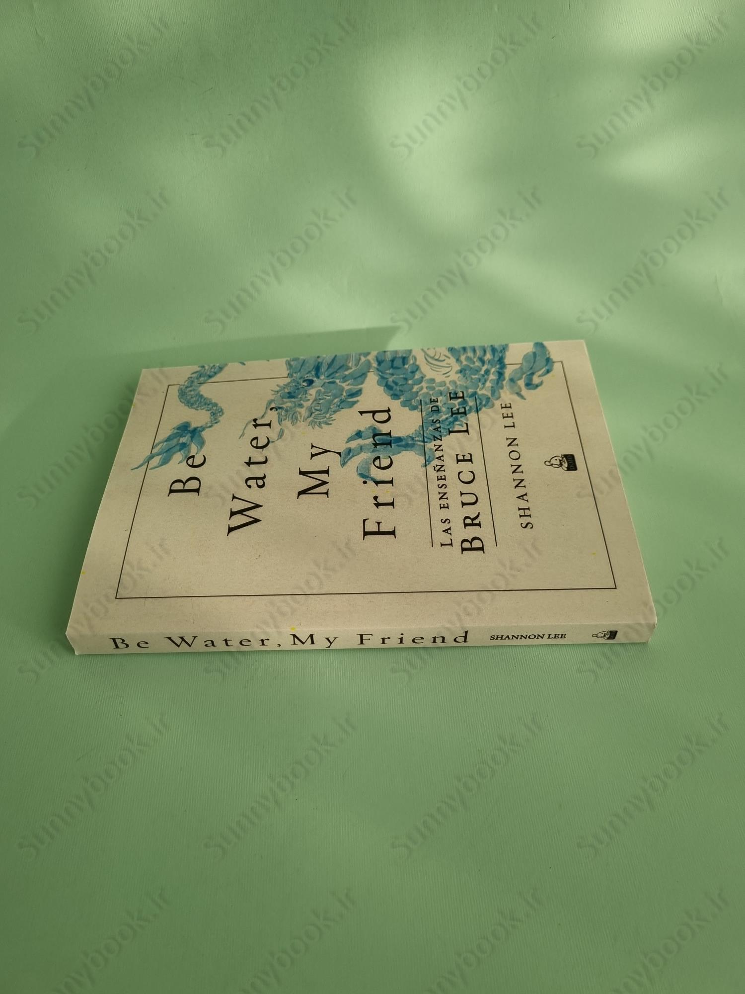 Be Water, My Friend: The Teachings of Bruce Lee main 1 4