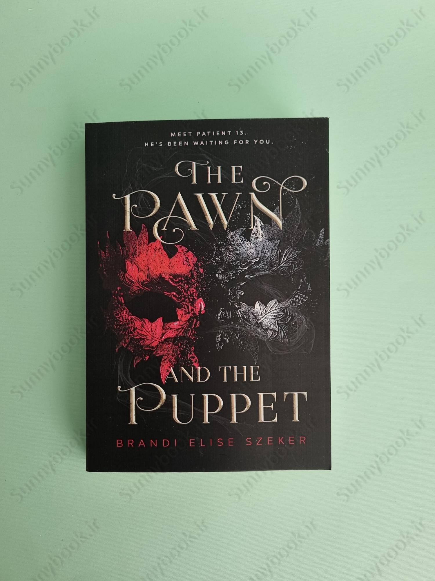 The Pawn and The Puppet  Book 1 main 1 2