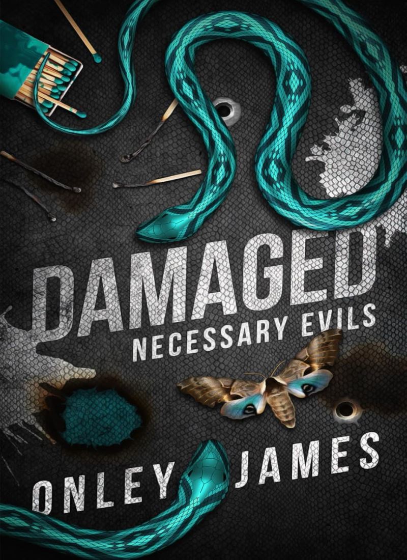 Damaged (Necessary Evils 4) main 1 1
