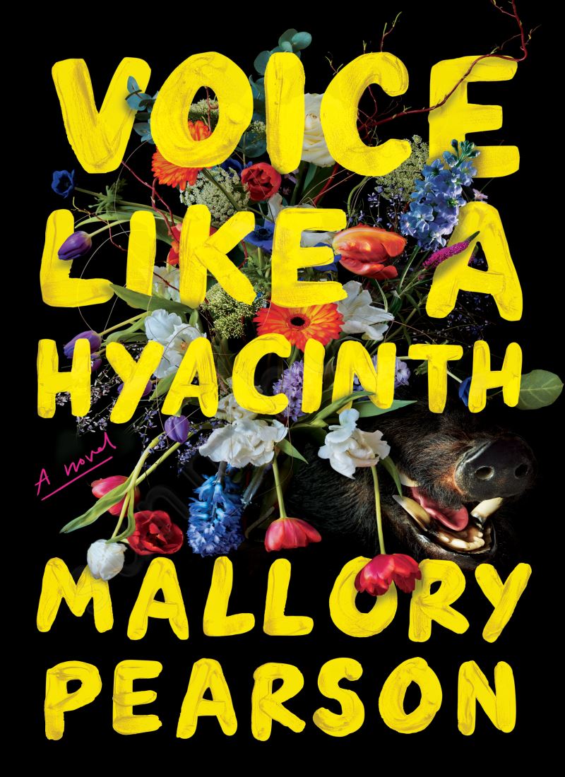 Voice Like a Hyacinth47north main 1 1