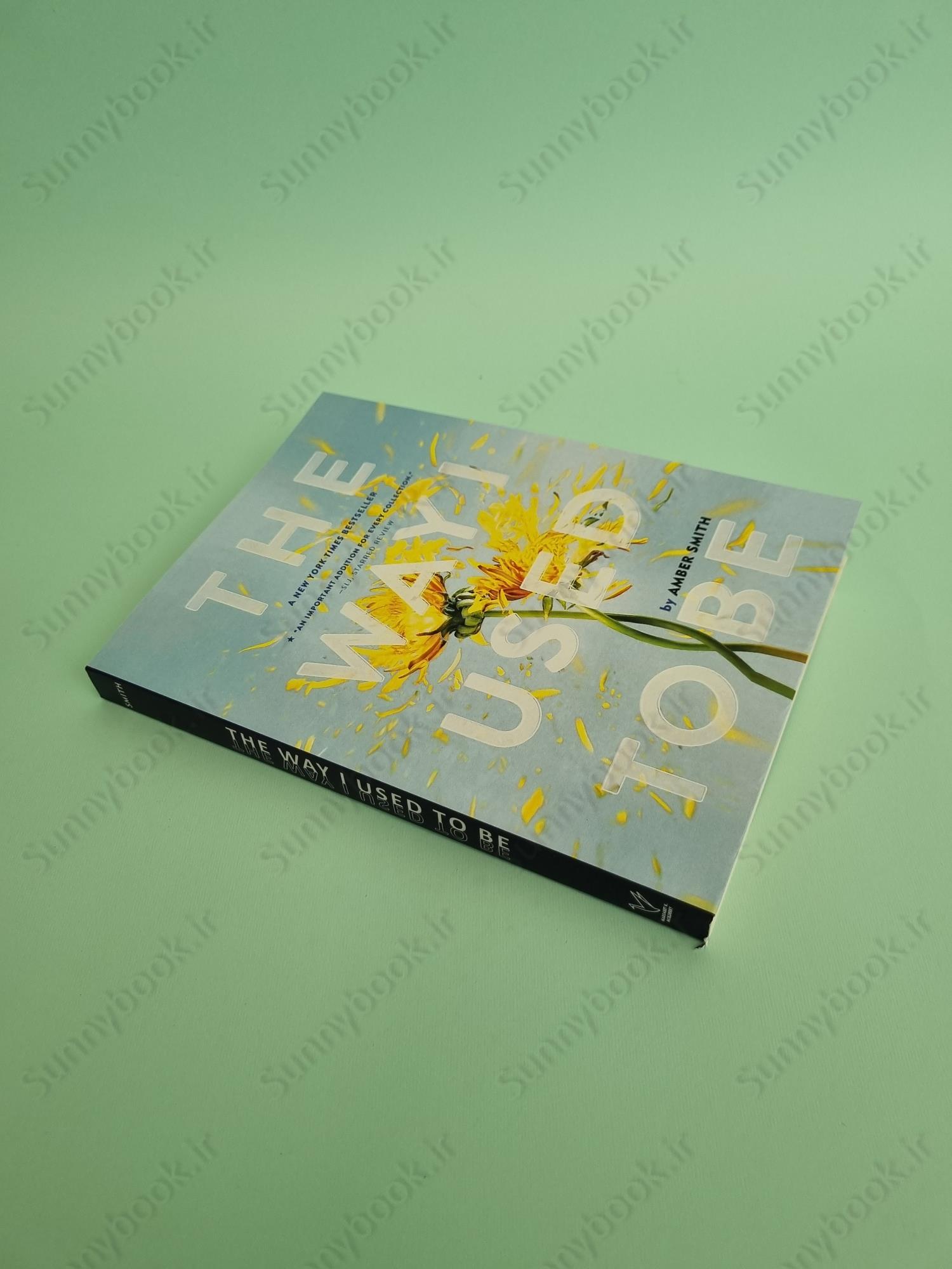 The Way I Used to Be main 1 3