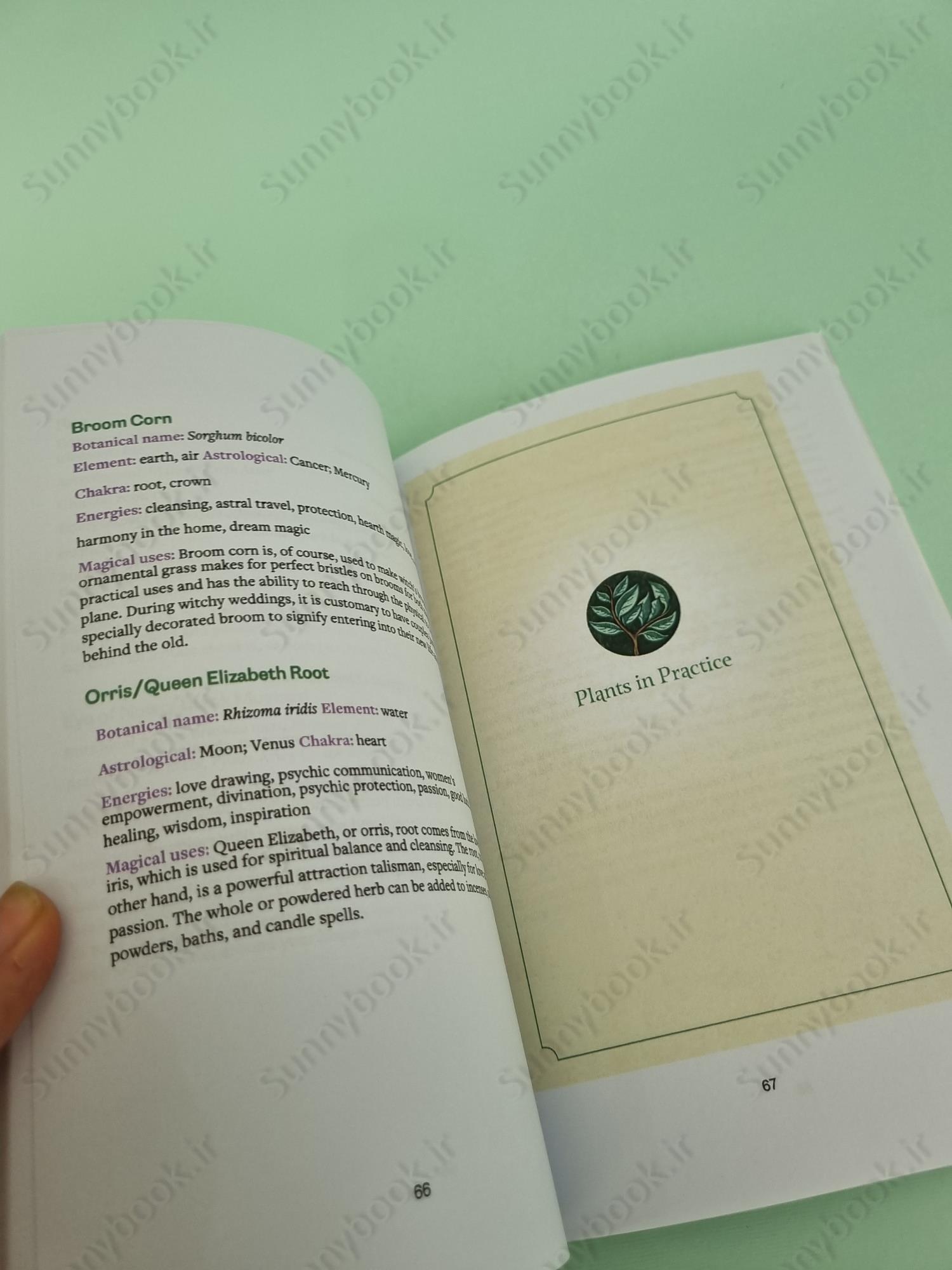 Green Witchcraft main 1 5