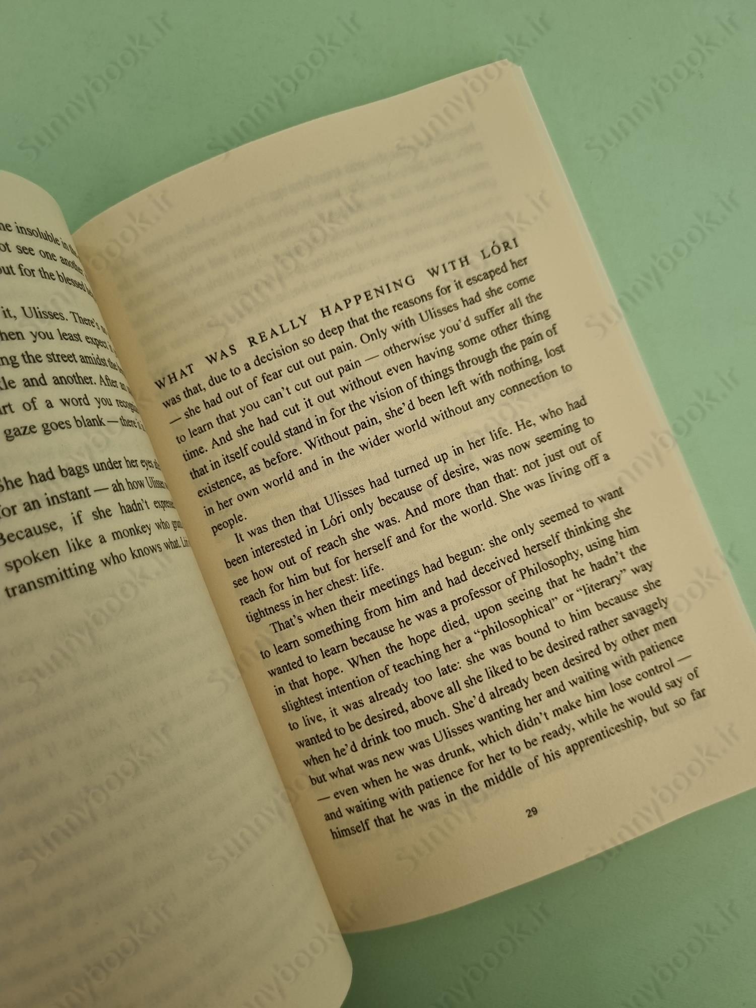 An Apprenticeship or The Book of Pleasures main 1 2