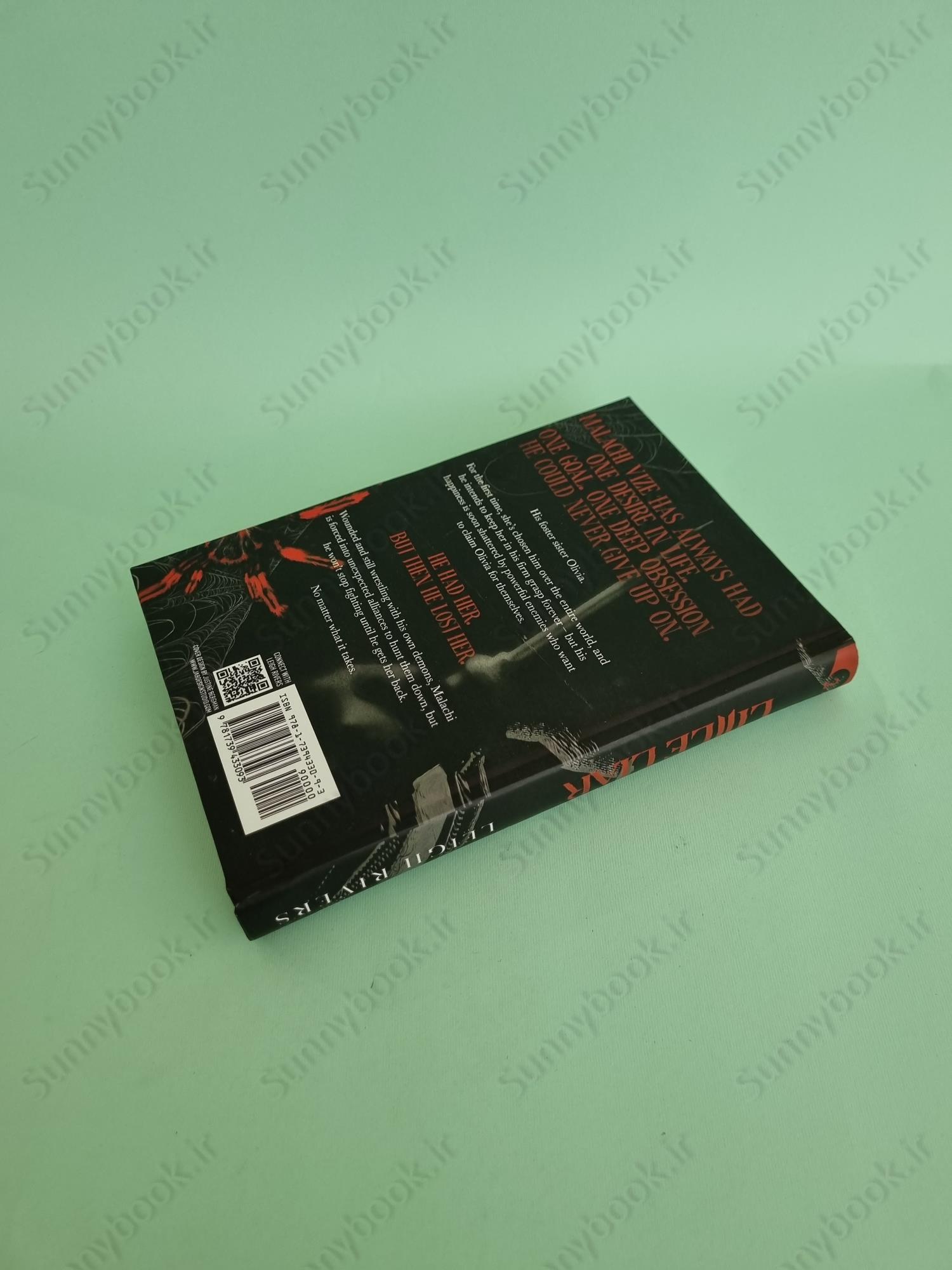 Little Liar (The Web of Silence Duet 2) main 1 5