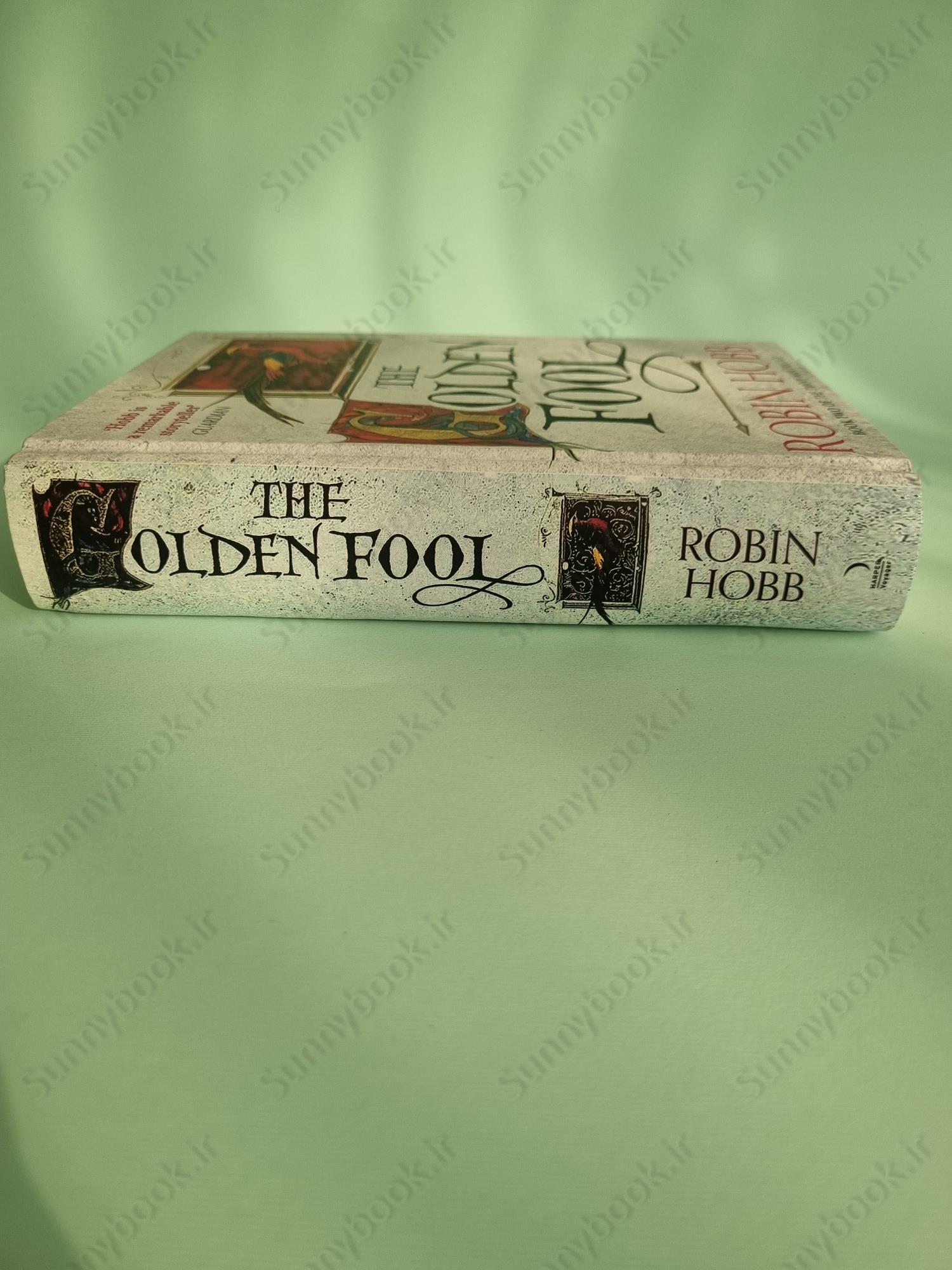 Golden Fool (The Tawny Man Trilogy, Book 2) main 1 4