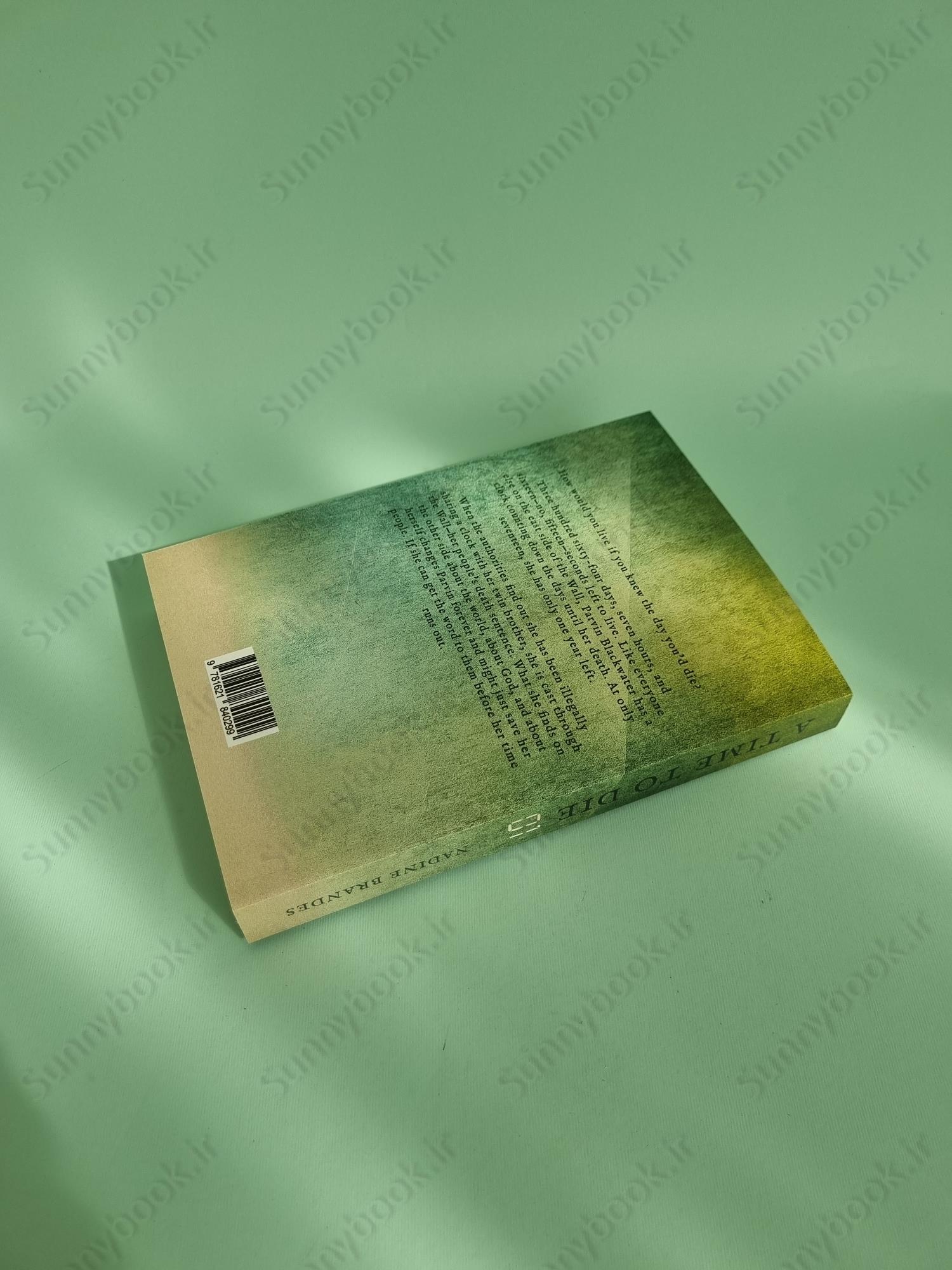 A Time to Die (Out of Time 1) main 1 5