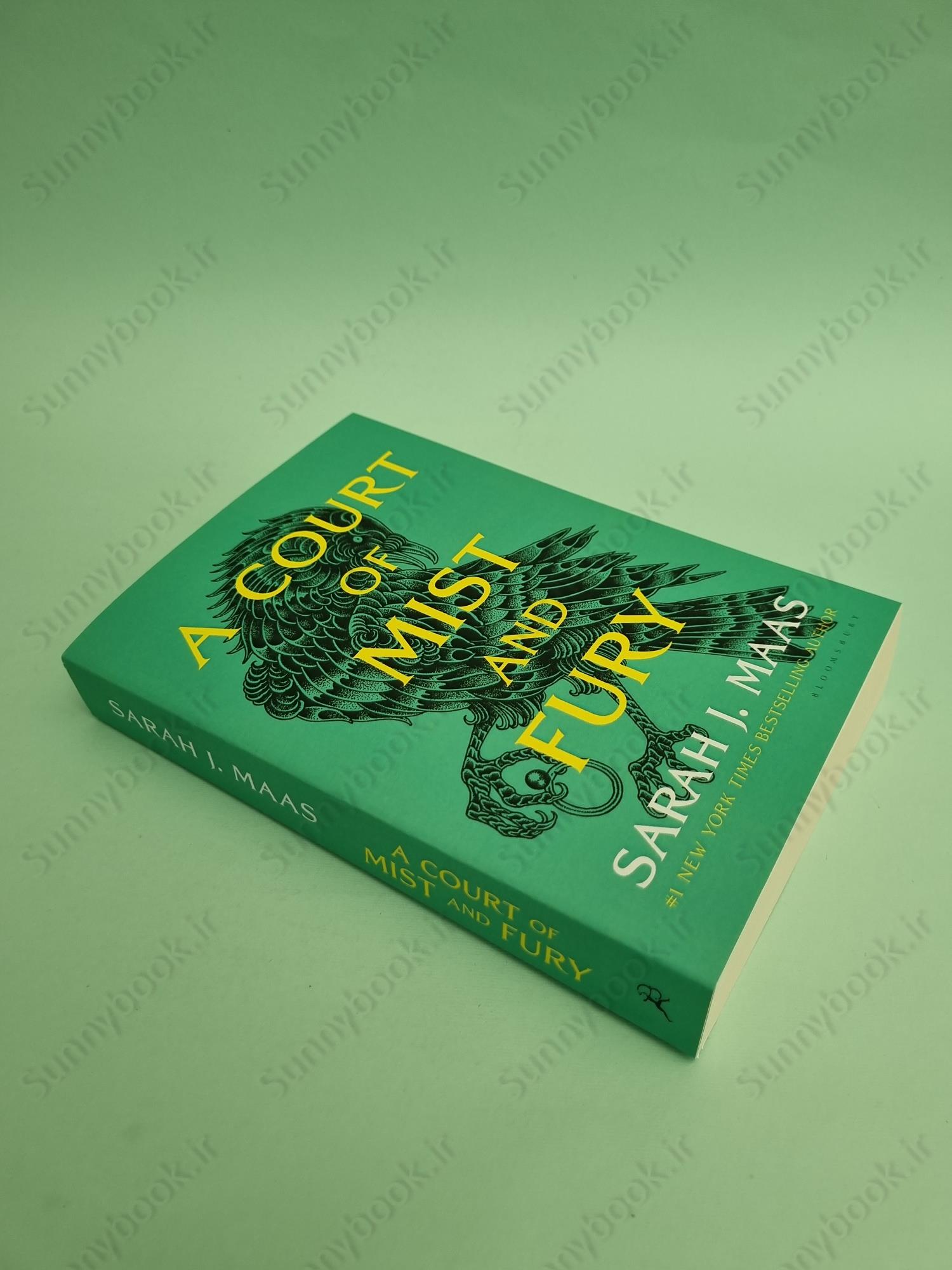 A Court of Mist and Fury (A Court of Thorns and Roses 2) main 1 6