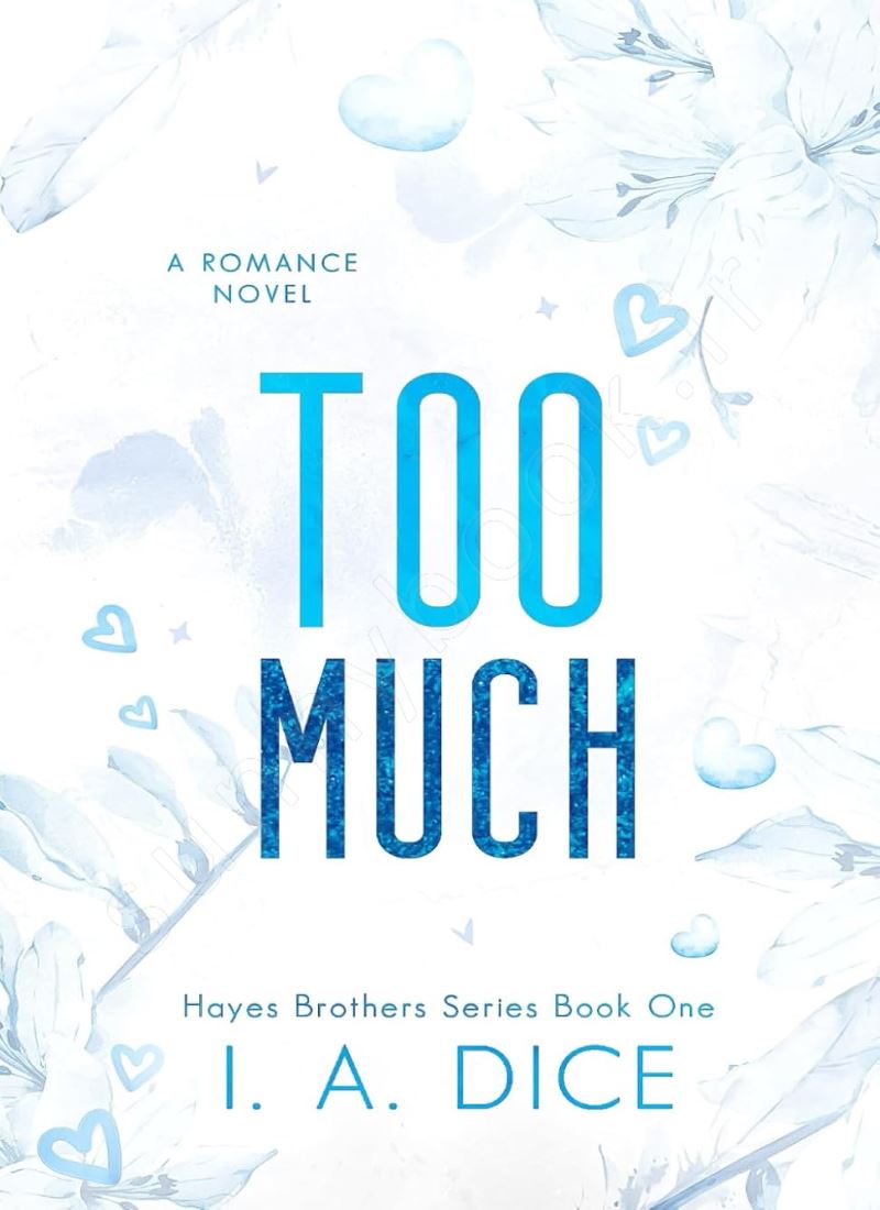 Too Much (Hayes Brothers Book 1) main 1 1