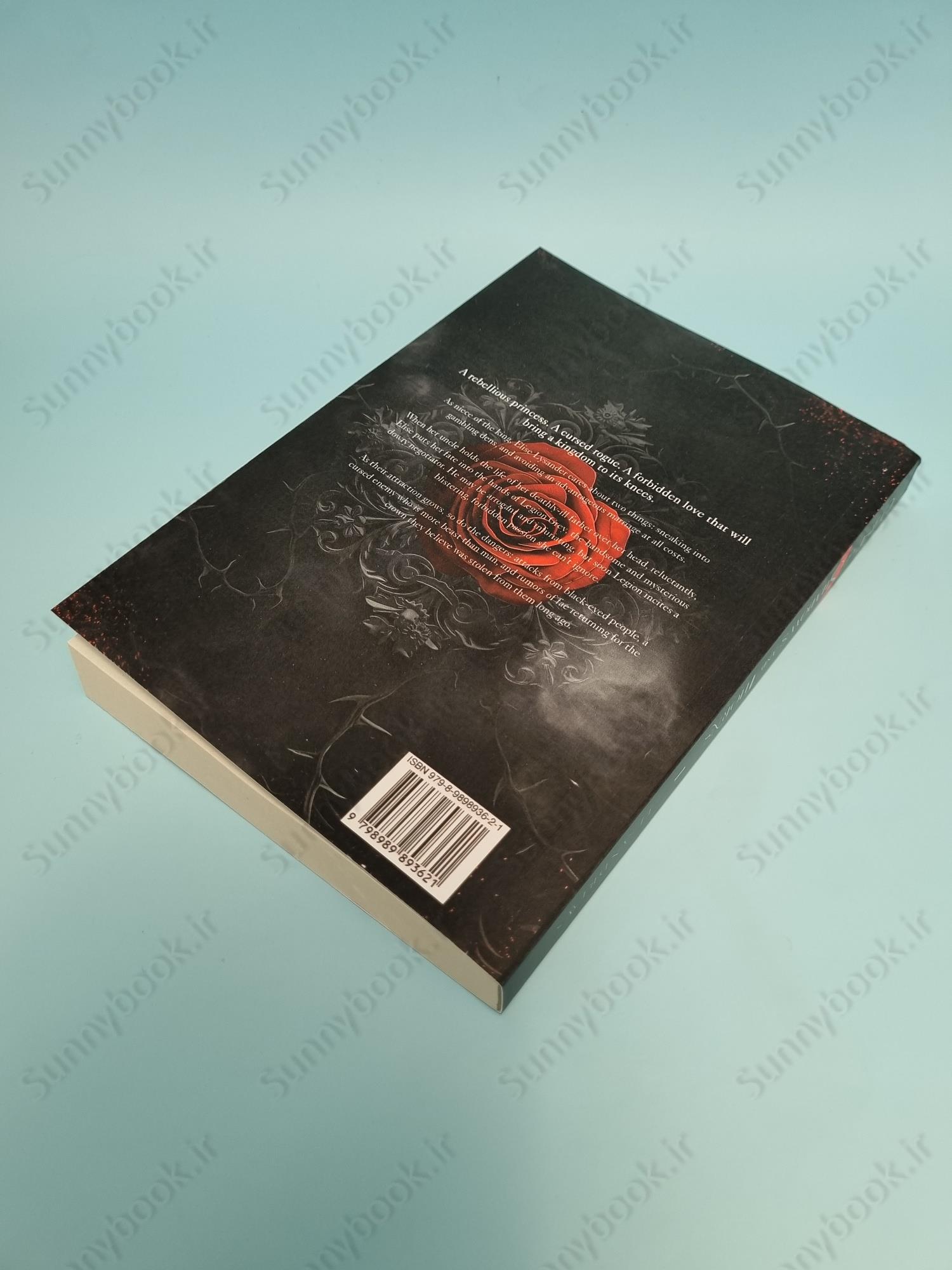 Curse of Shadows and Thorns (The Broken Kingdoms 1) main 1 4