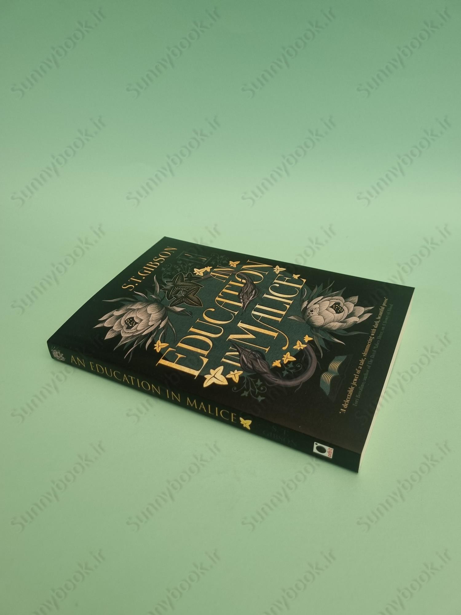 An Education in Malice main 1 3