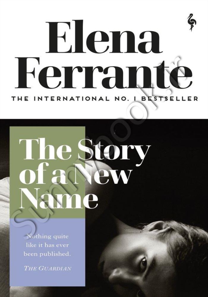 The Story of a New Name : My Brilliant Friend Book 2 main 1 1