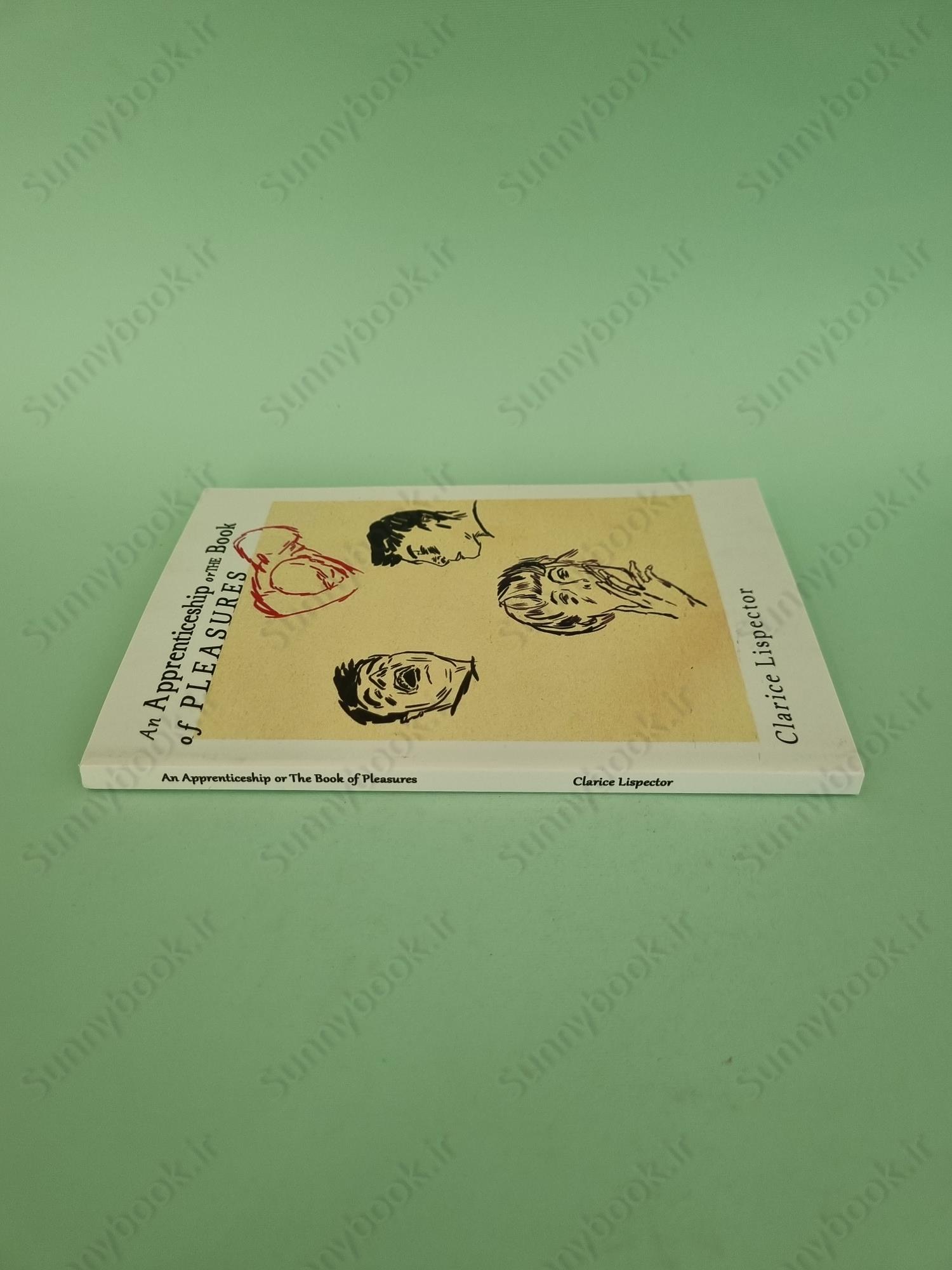 An Apprenticeship or The Book of Pleasures main 1 4