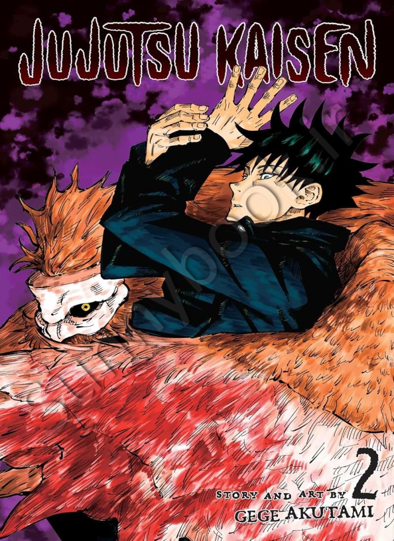 Jujutsu Kaisen, Vol. 2 main 1 1