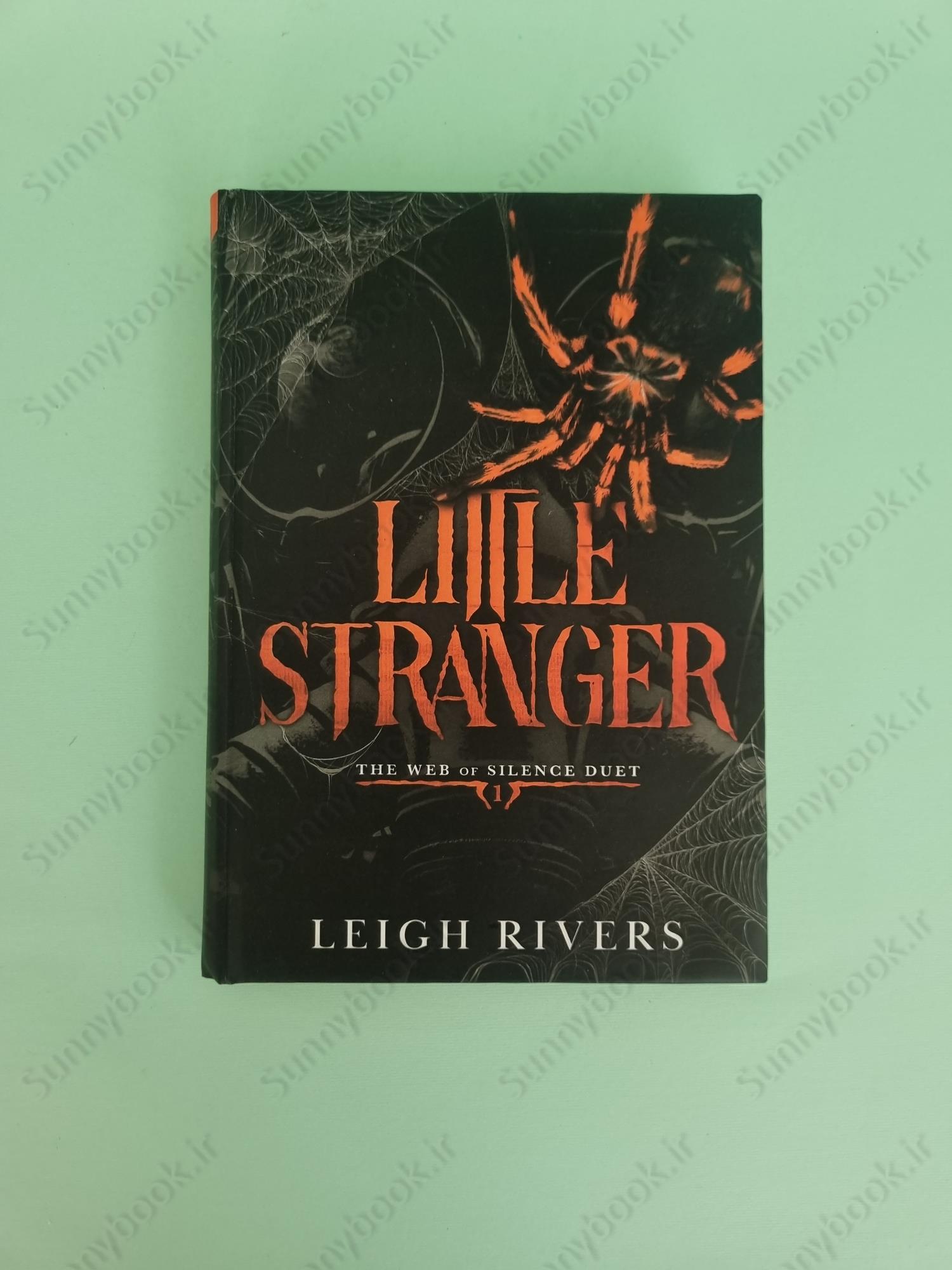 Little Stranger (The Web of Silence Duet 1) main 1 2