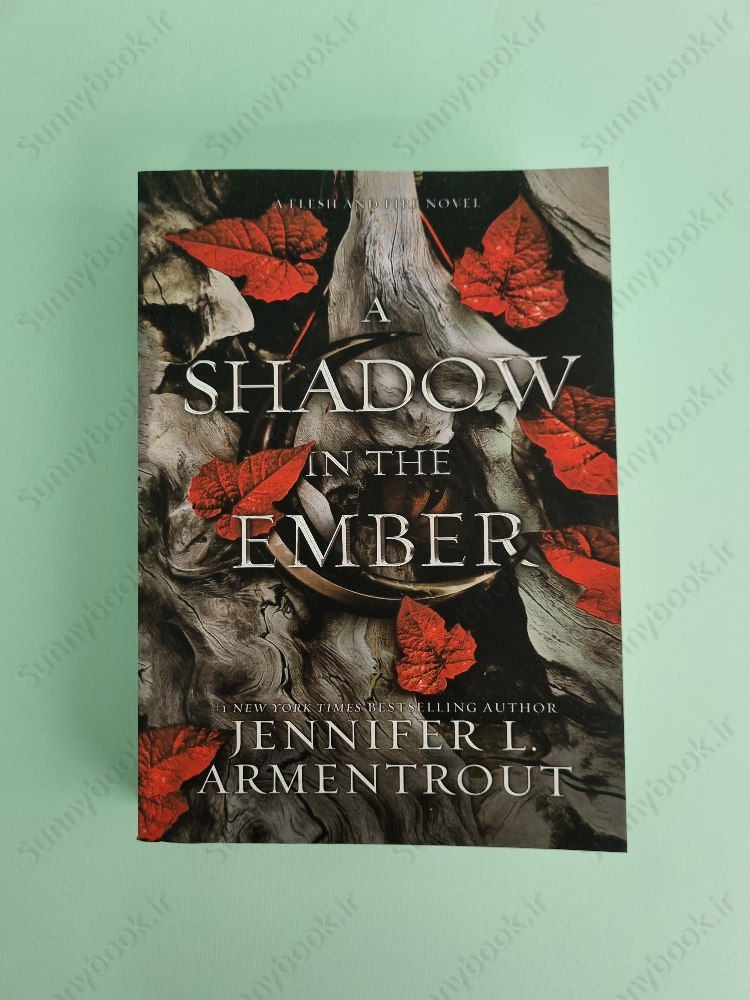 A Shadow in the Ember (Flesh and Fire 1) main 1 2