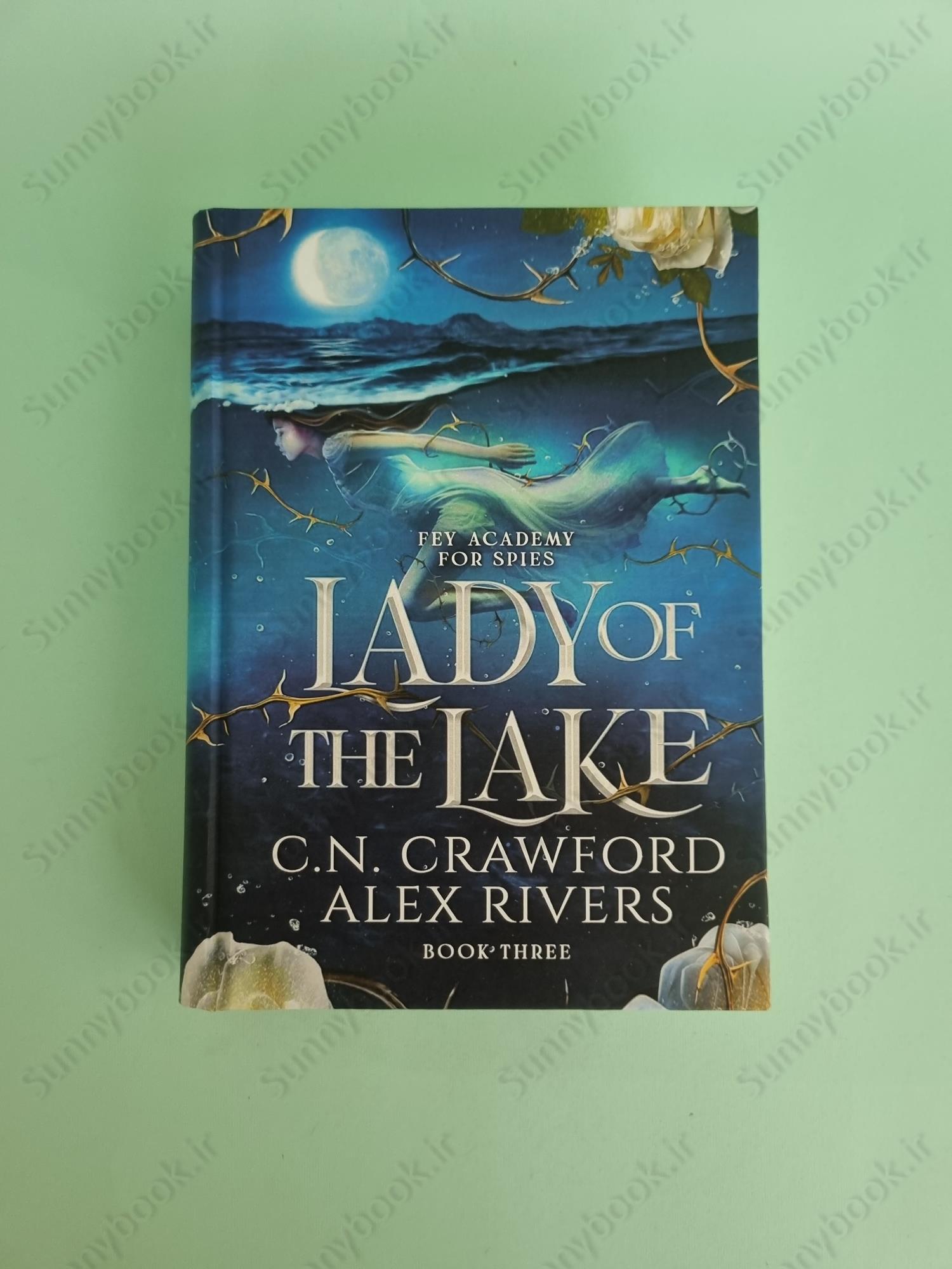 Lady of The Lake (Fey Spy Academy Book 3) main 1 2