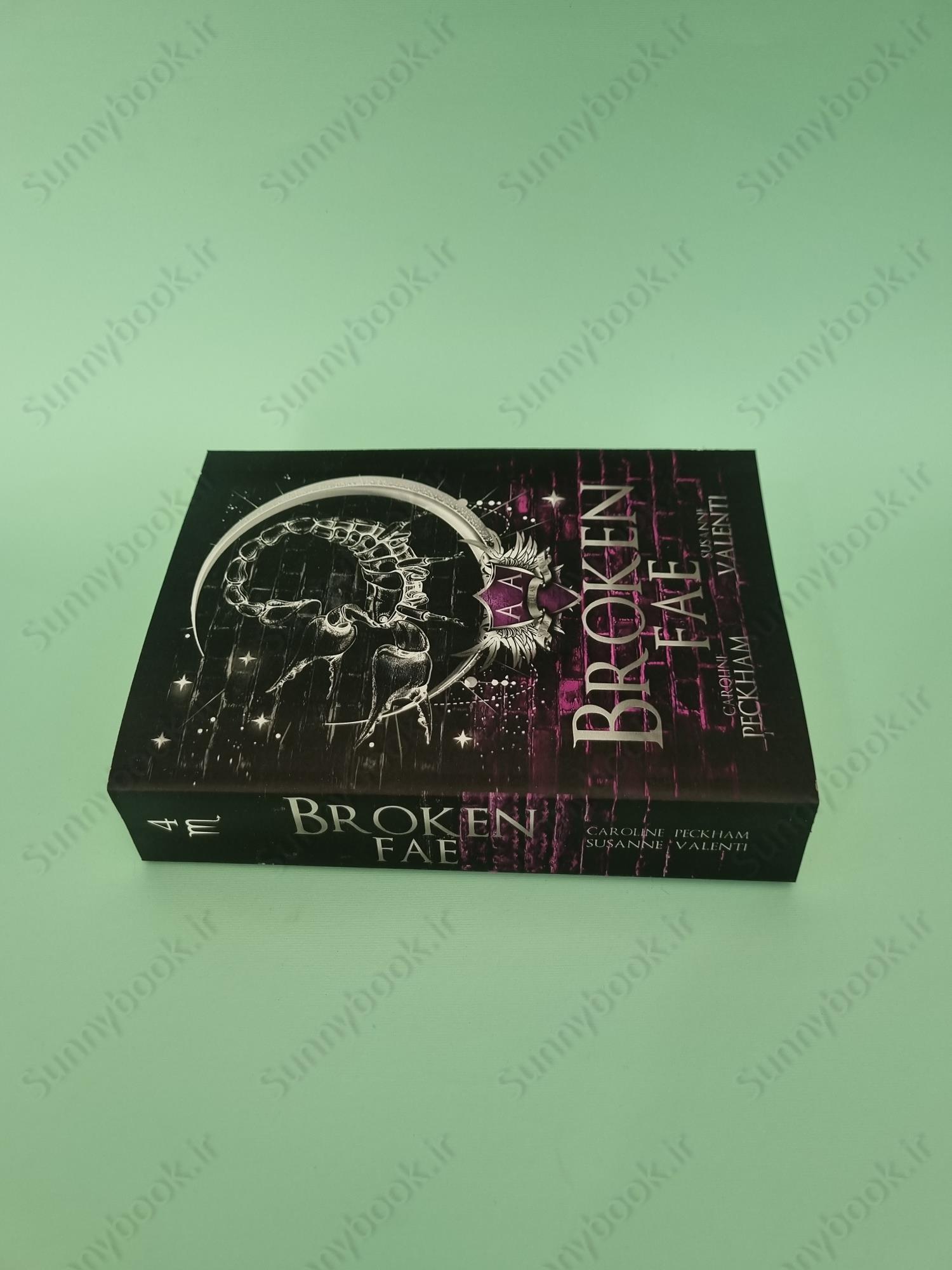 Broken Fae (Ruthless Boys of the Zodiac 4) main 1 4