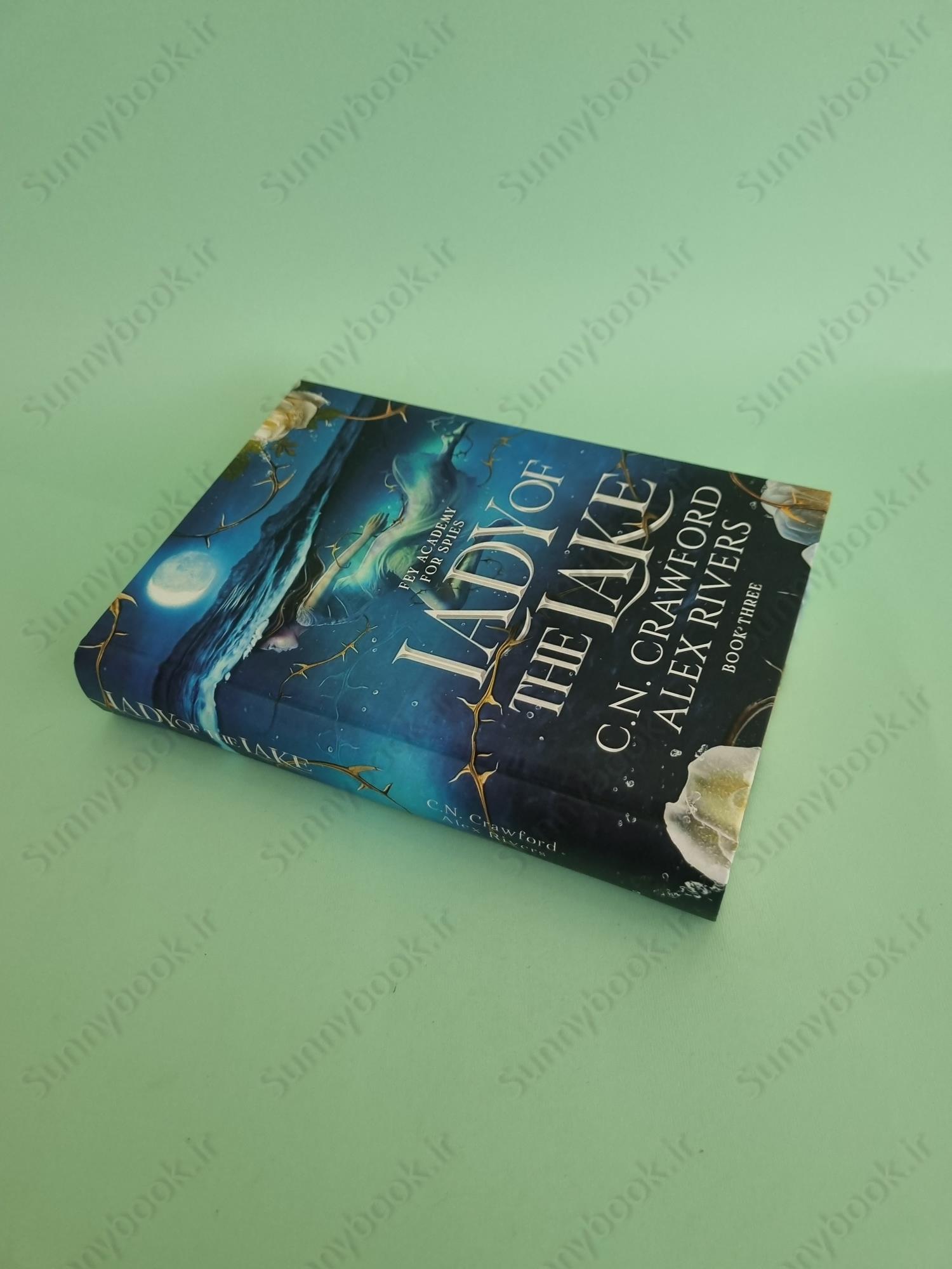 Lady of The Lake (Fey Spy Academy Book 3) main 1 3