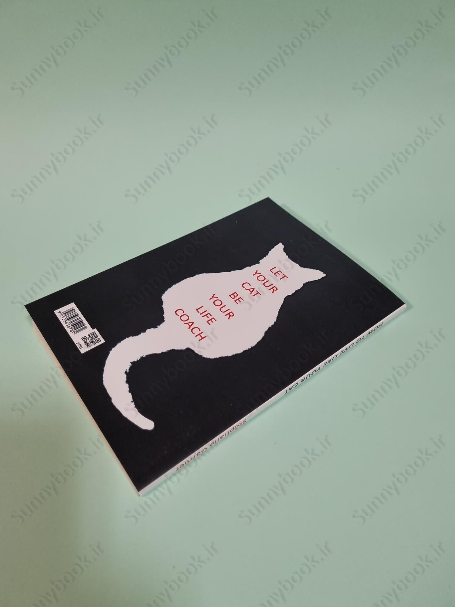 How to Live Like Your Cat main 1 5