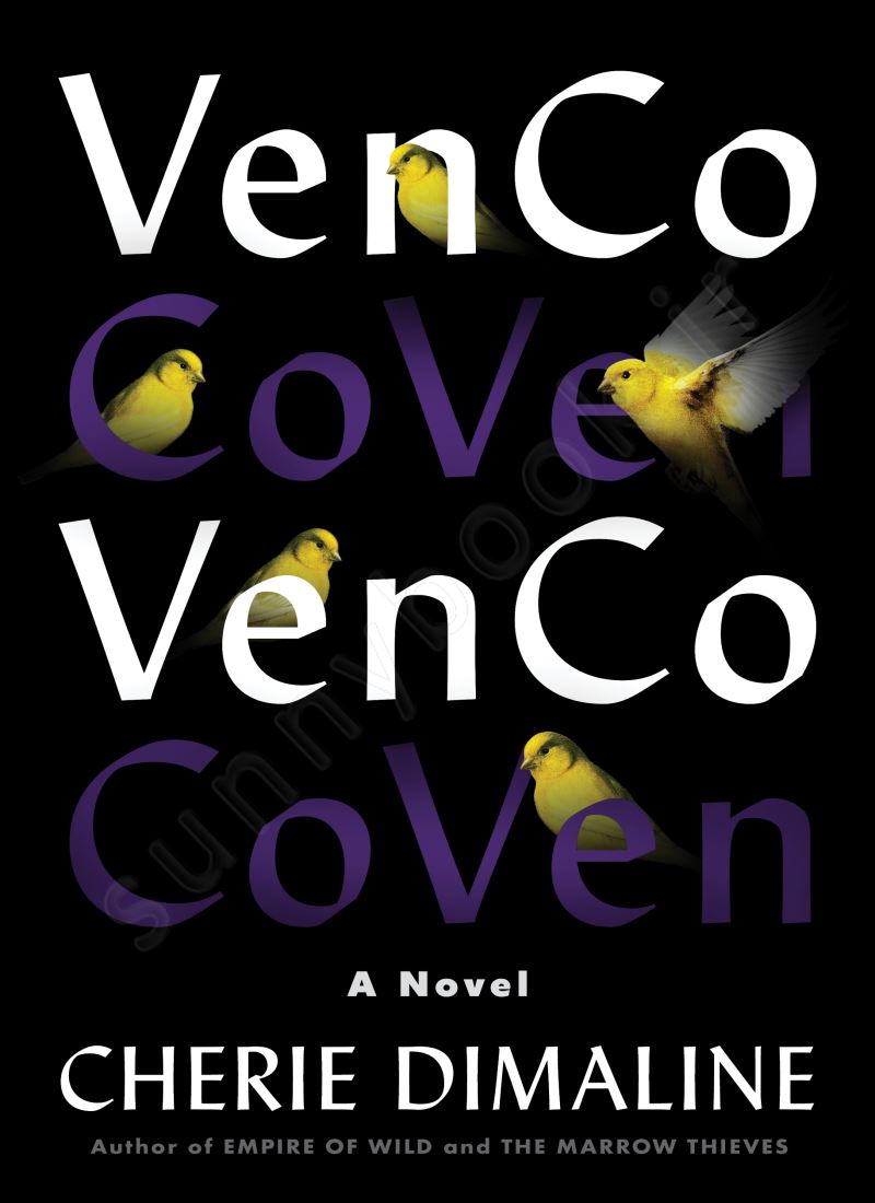 VenCo main 1 1