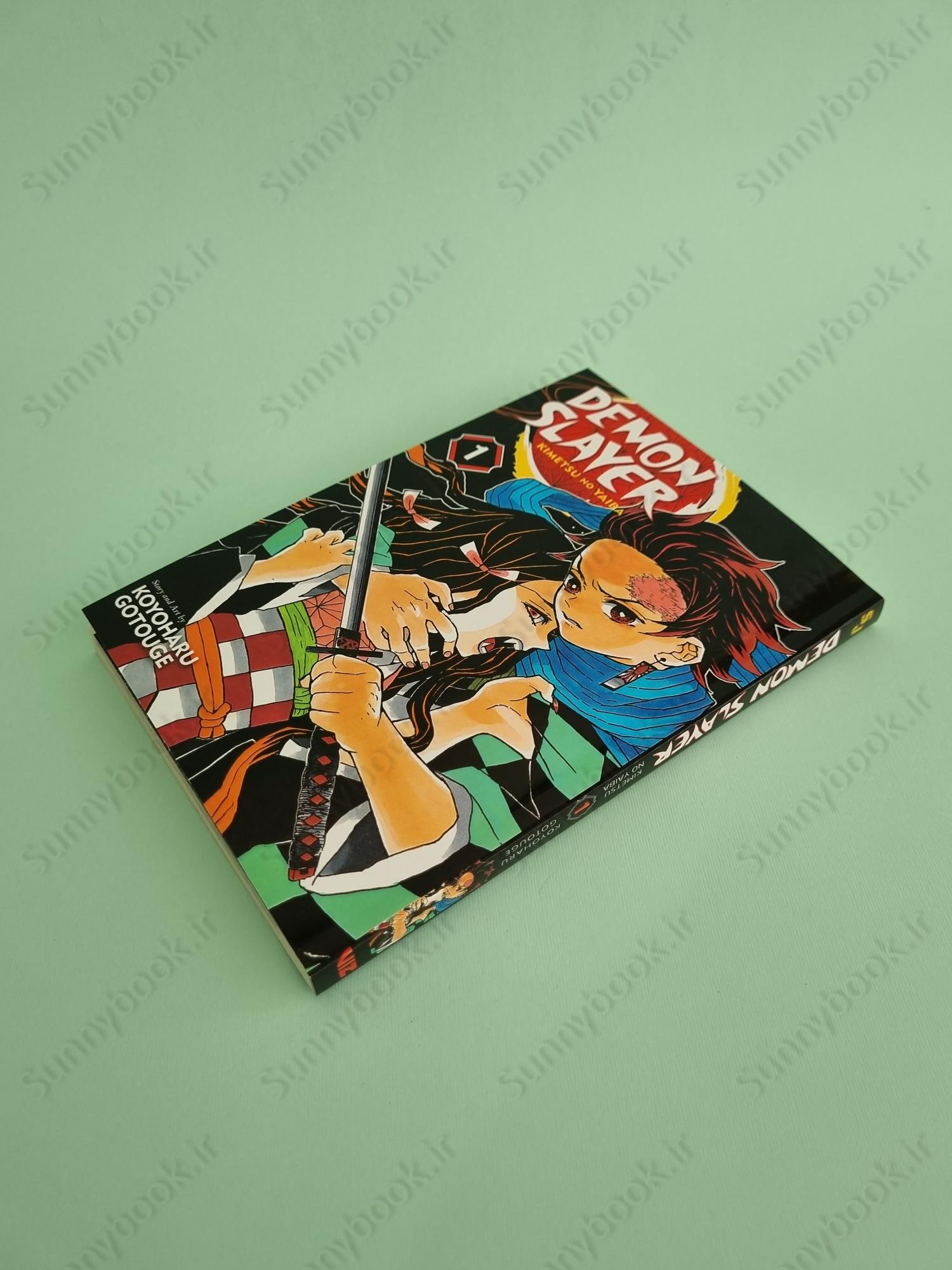 Demon Slayer: Kimetsu no Yaiba, Vol. 1 main 1 3