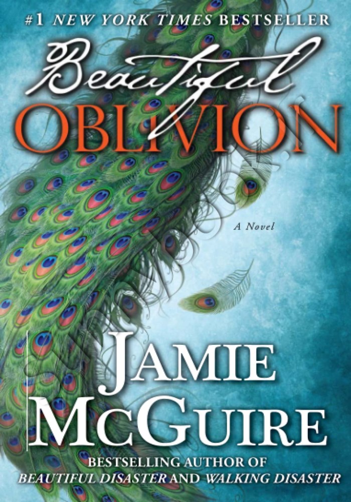 Beautiful Oblivion (The Maddox Brothers 1) main 1 1