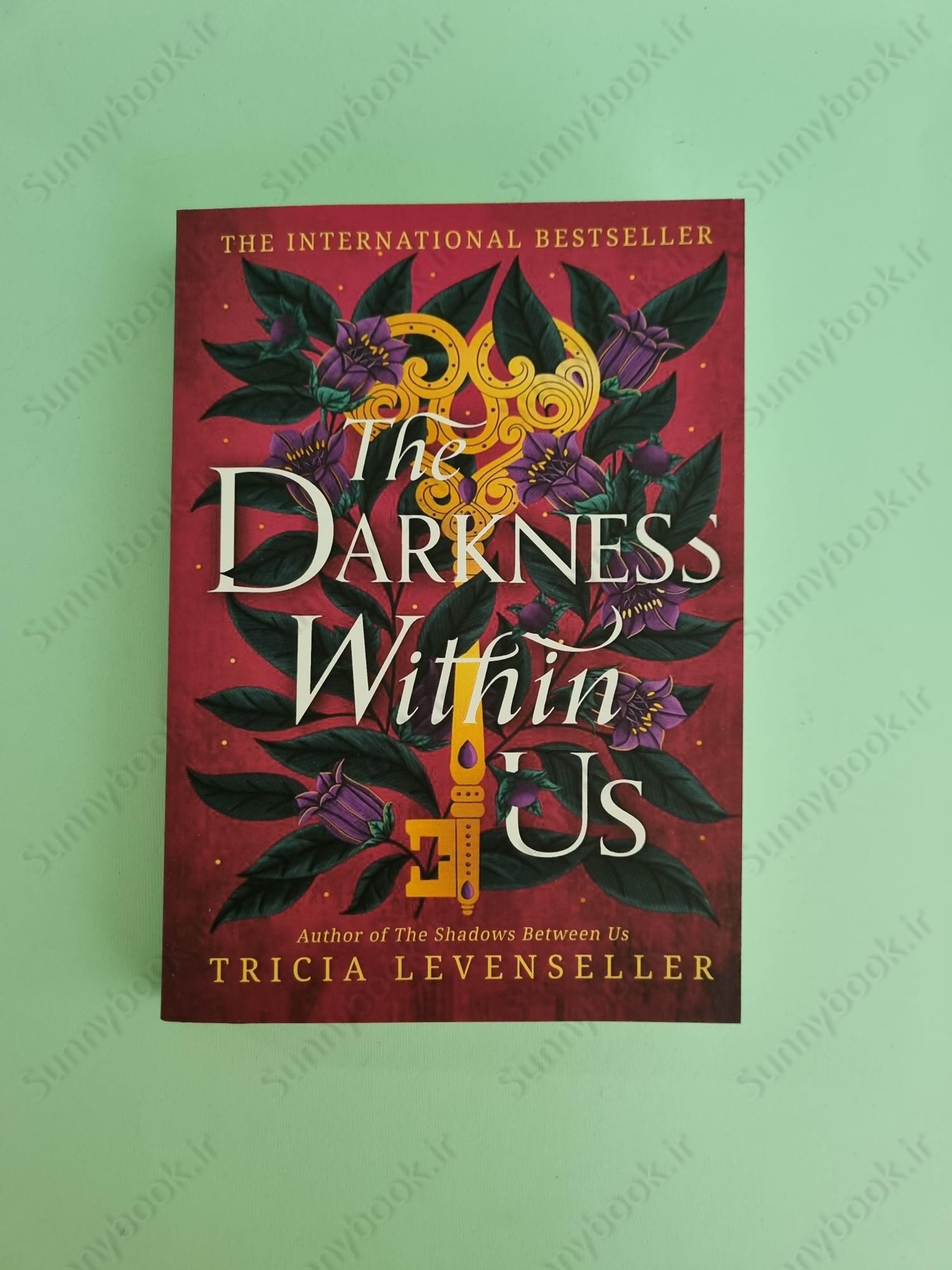 The Darkness Within Us (The Shadows Between Us Book2) main 1 2