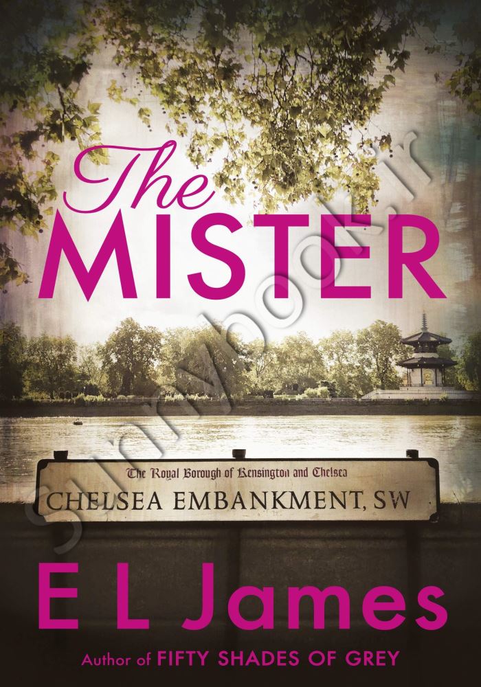 The Mister: The #1 Sunday Times bestseller main 1 1