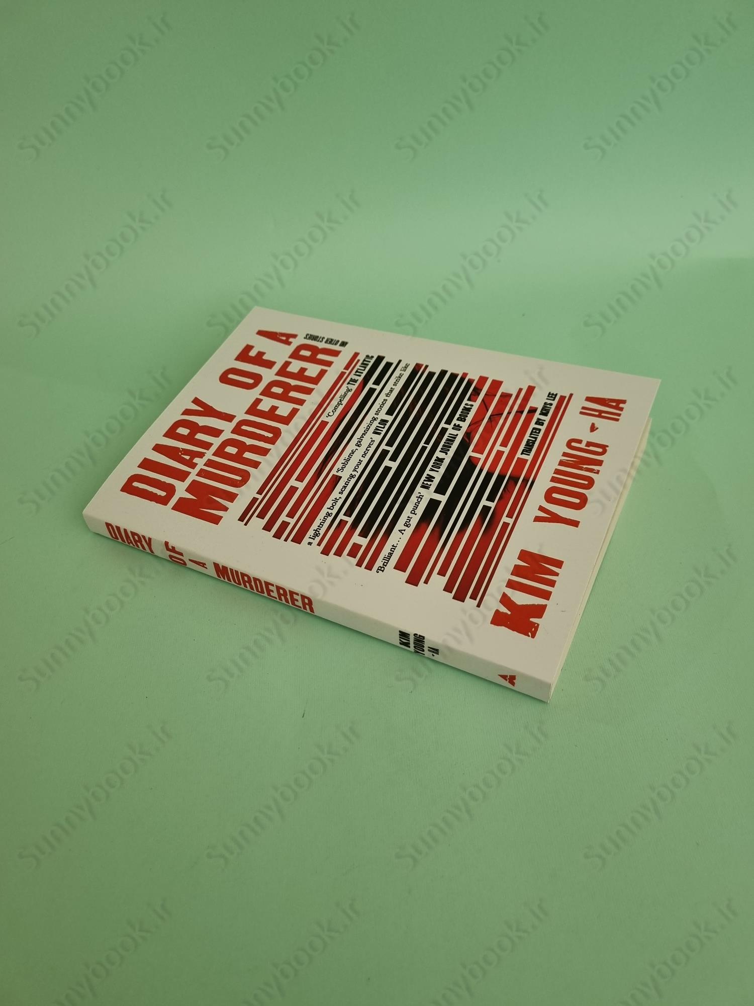 Diary of a Murderer: And Other Stories main 1 3