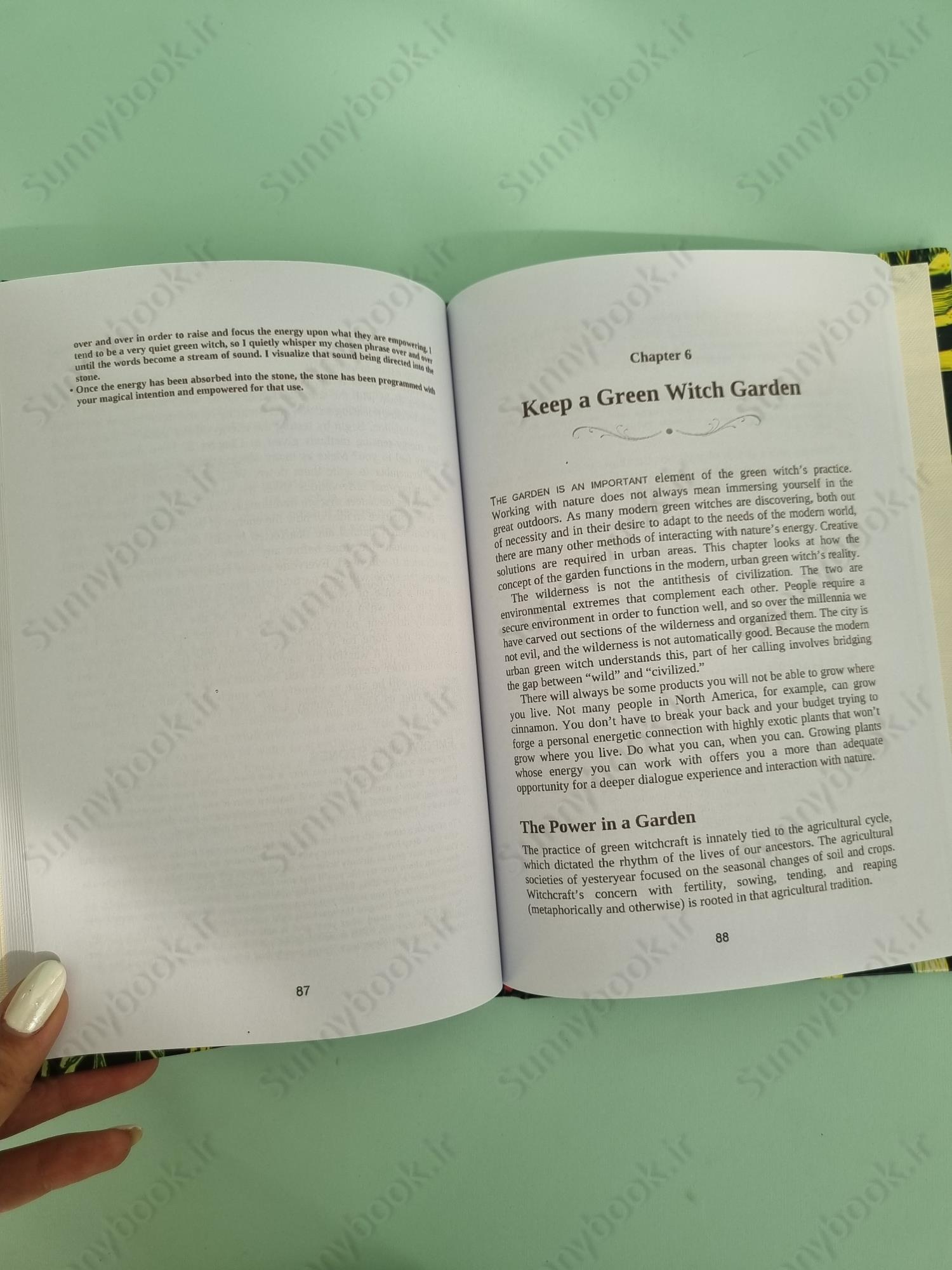 The Green Witch main 1 6