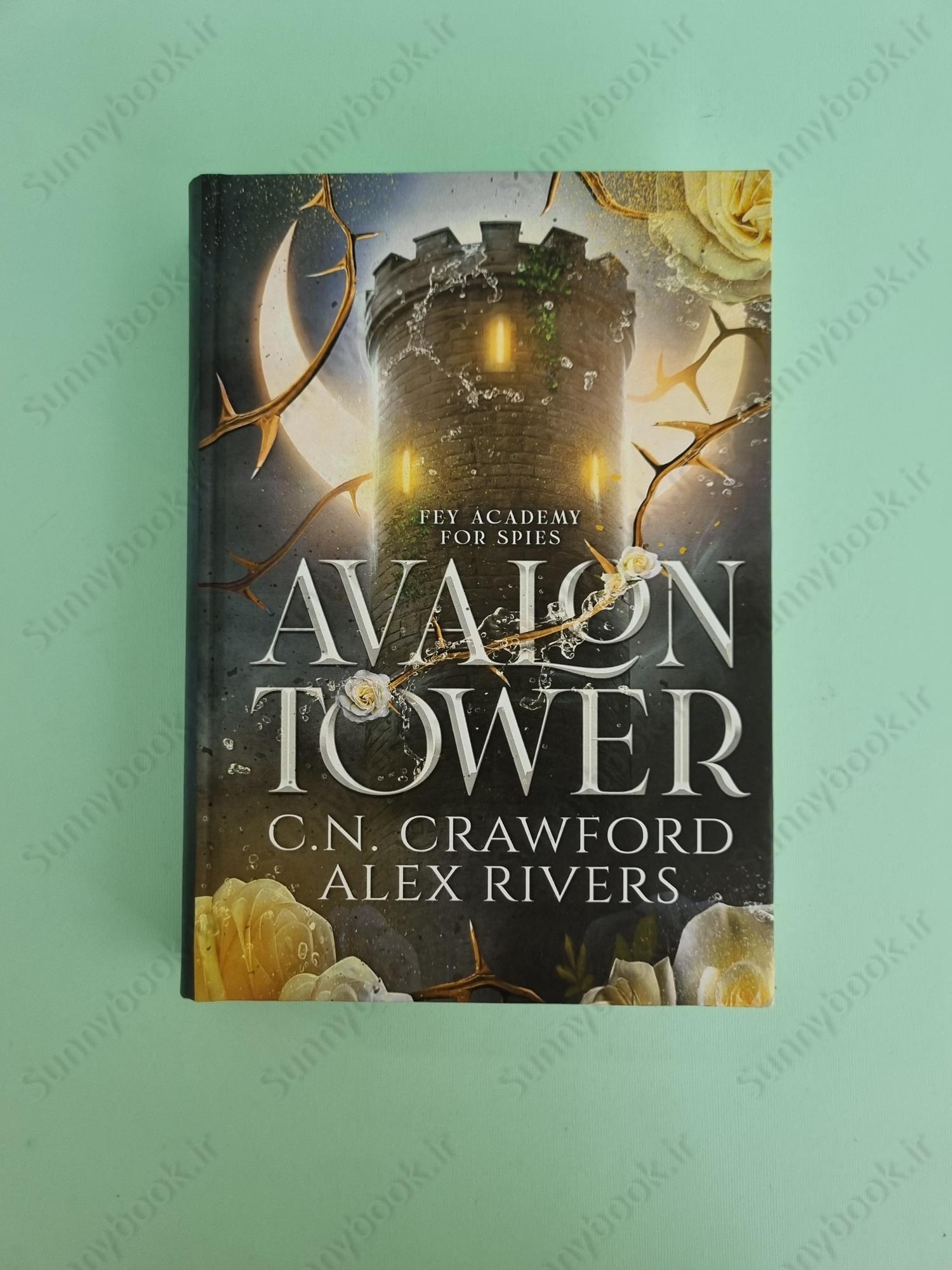 Avalon Tower (Fey Spy Academy Book 1) main 1 2