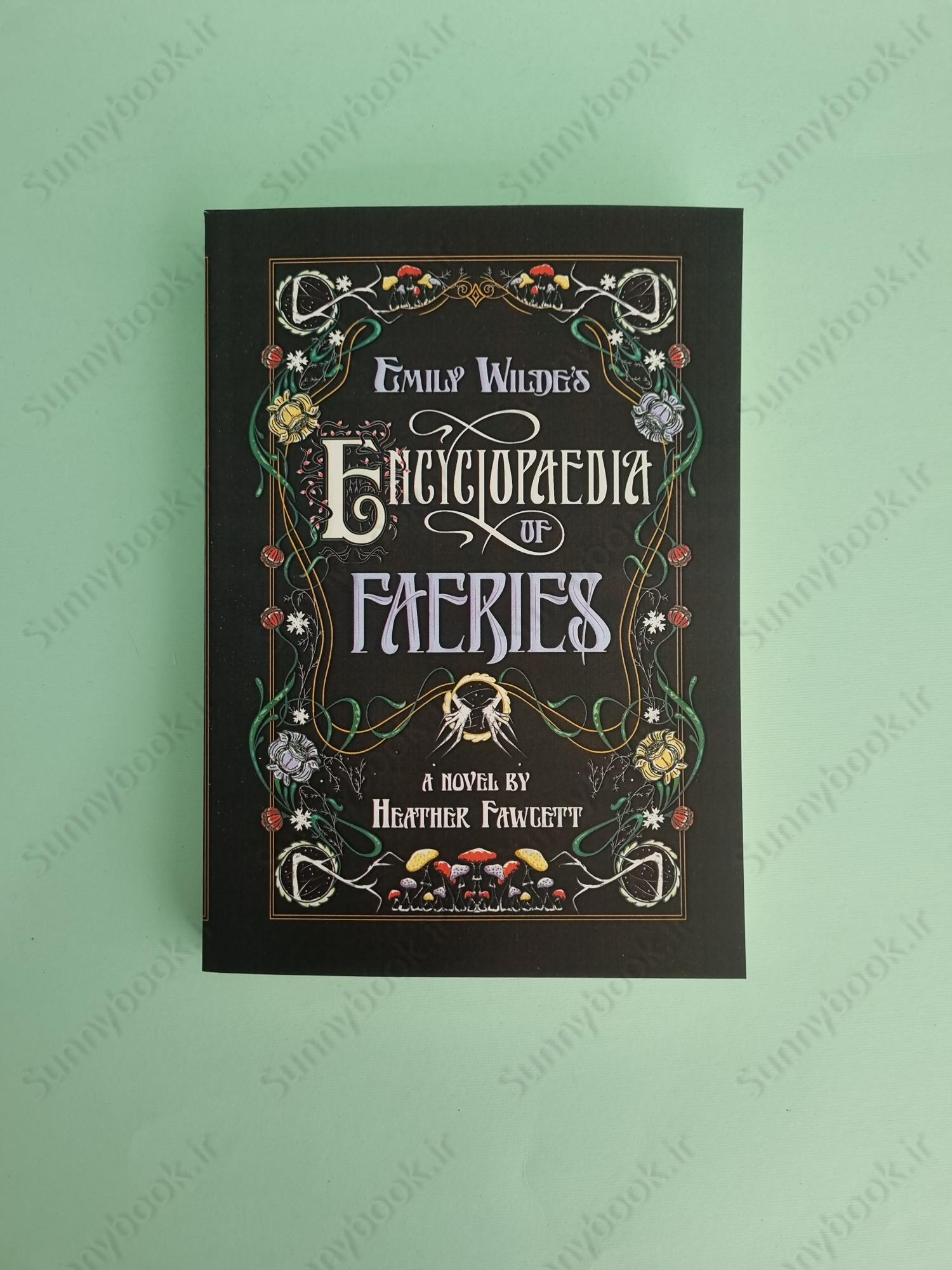 Emily Wilde's Encyclopaedia of Faeries: Book One of the Emily Wilde Series (Emily Wilde, 1) main 1 2